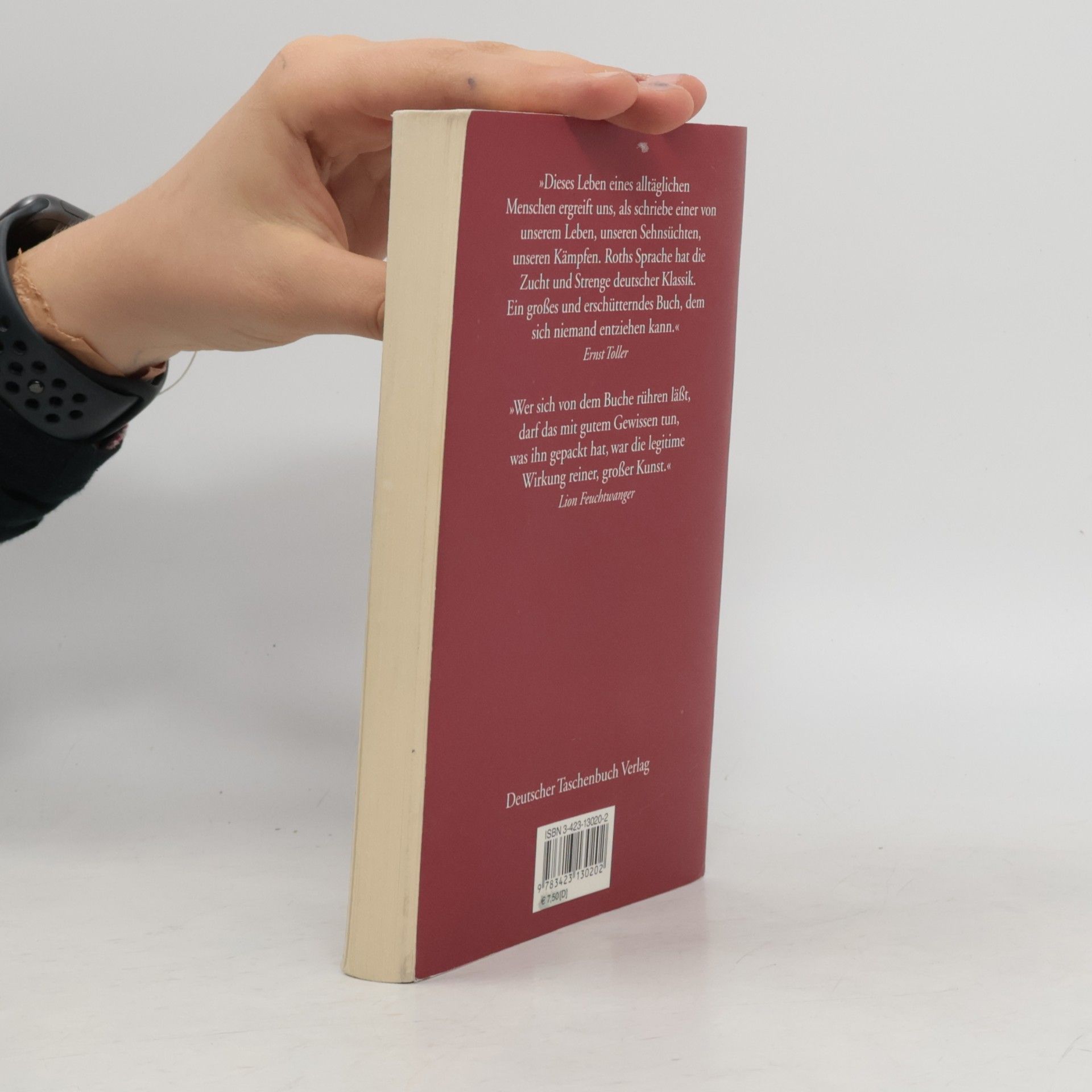 Joseph Roth Hiob : Roman eines einfachen Mannes