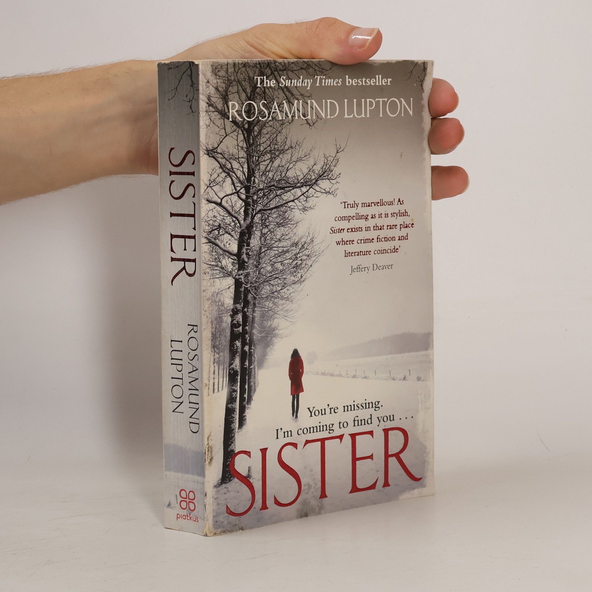 Rosamund Lupton Sister