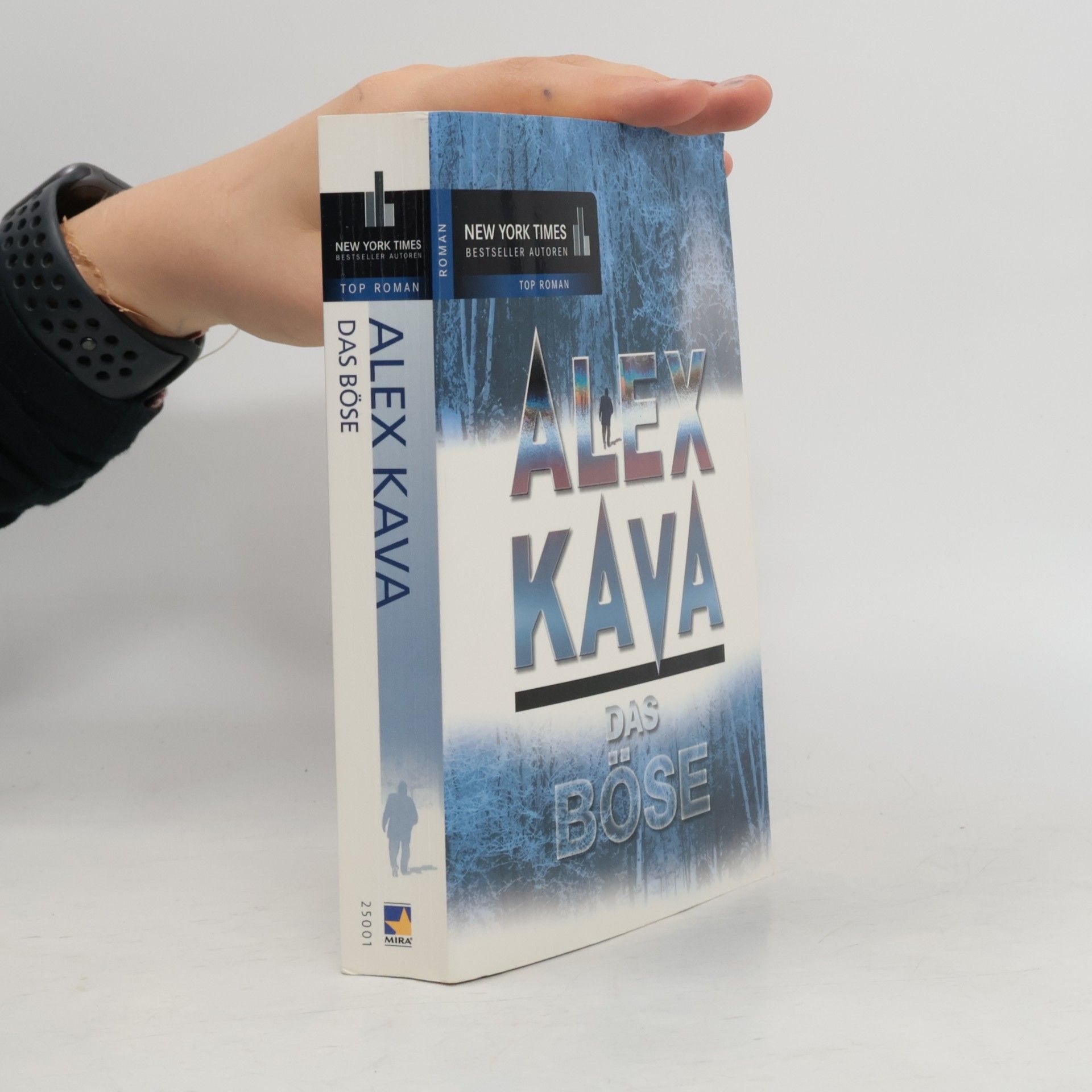 Alex Kava Das Böse