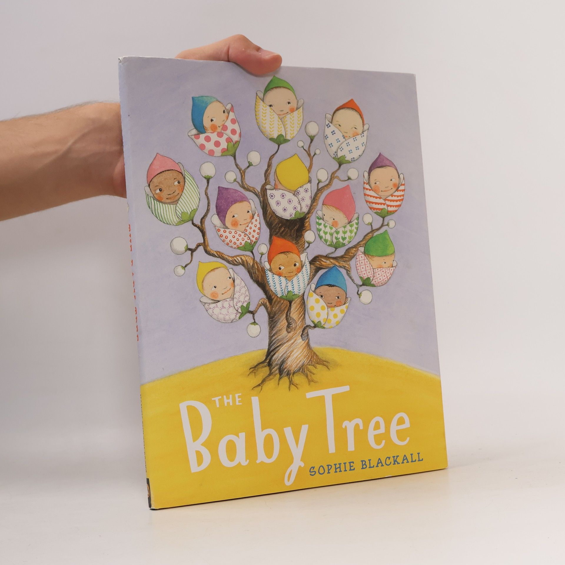 Sophie Blackall The Baby Tree