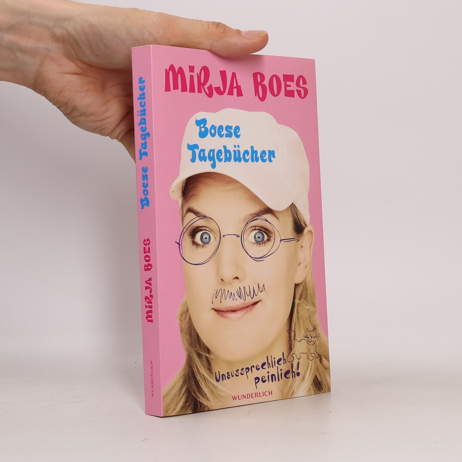 Mirja Boes Boese Tagebücher