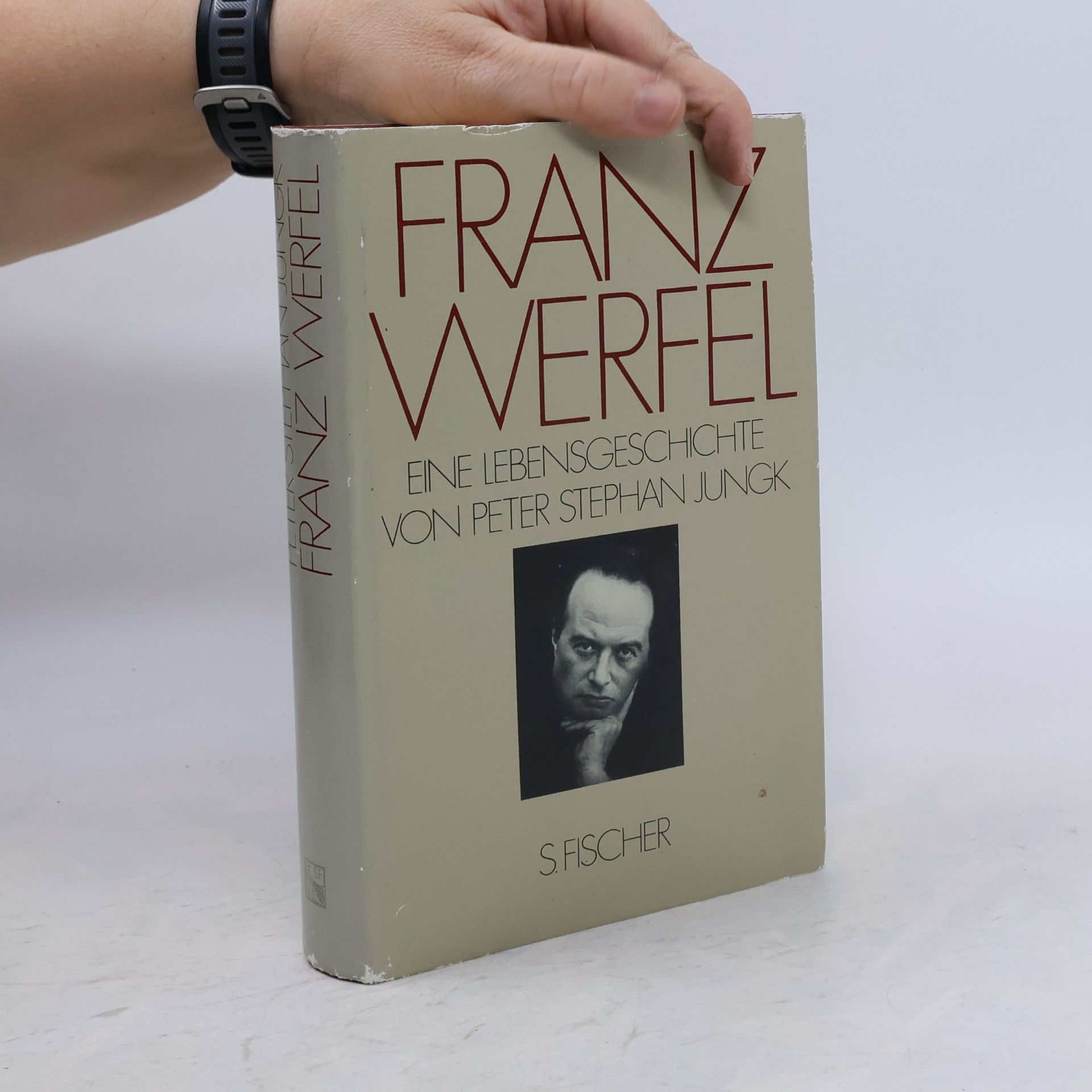 Peter Stephan Jungk Franz Werfel