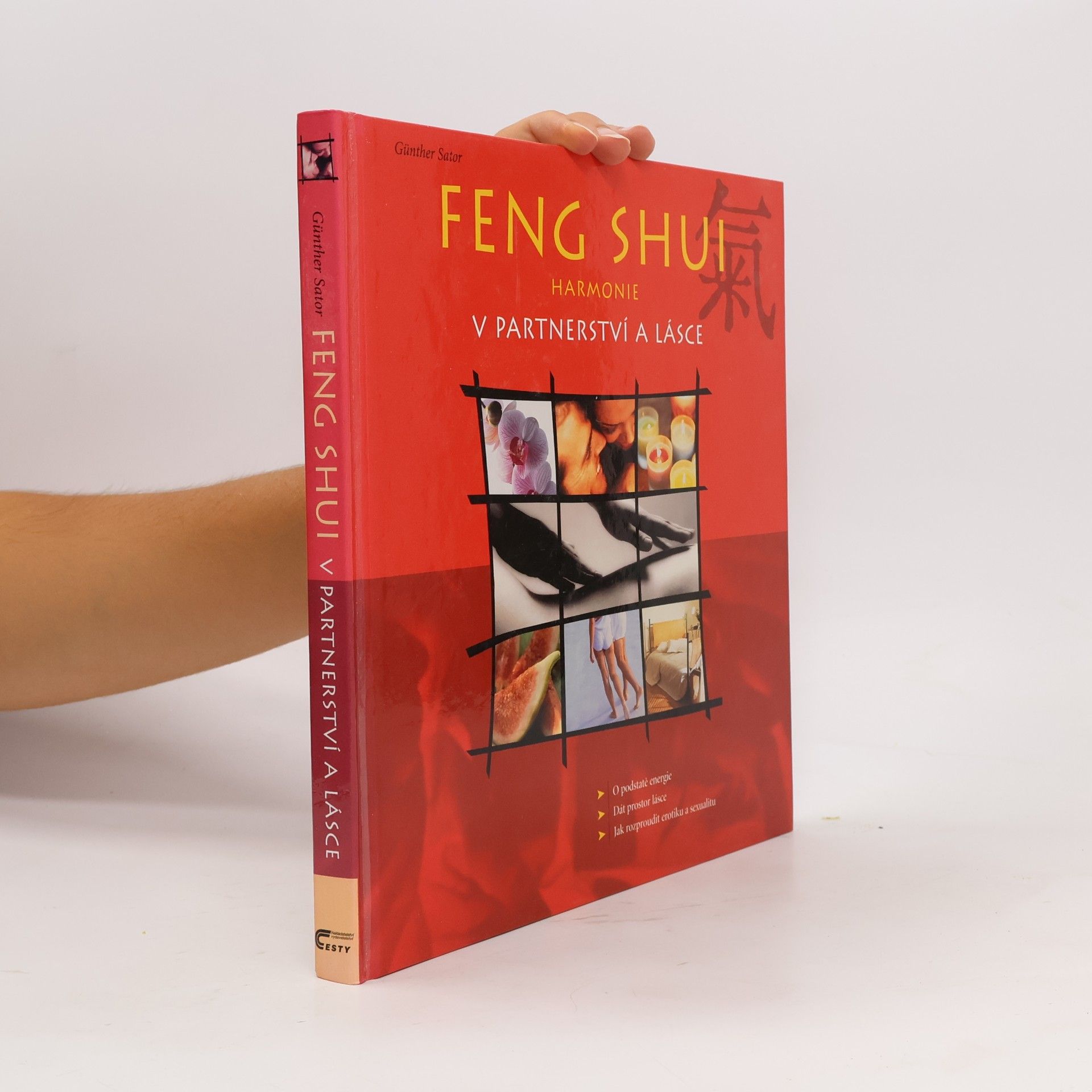 Günther Sator Feng shui. Harmonie v partnerství a lásce