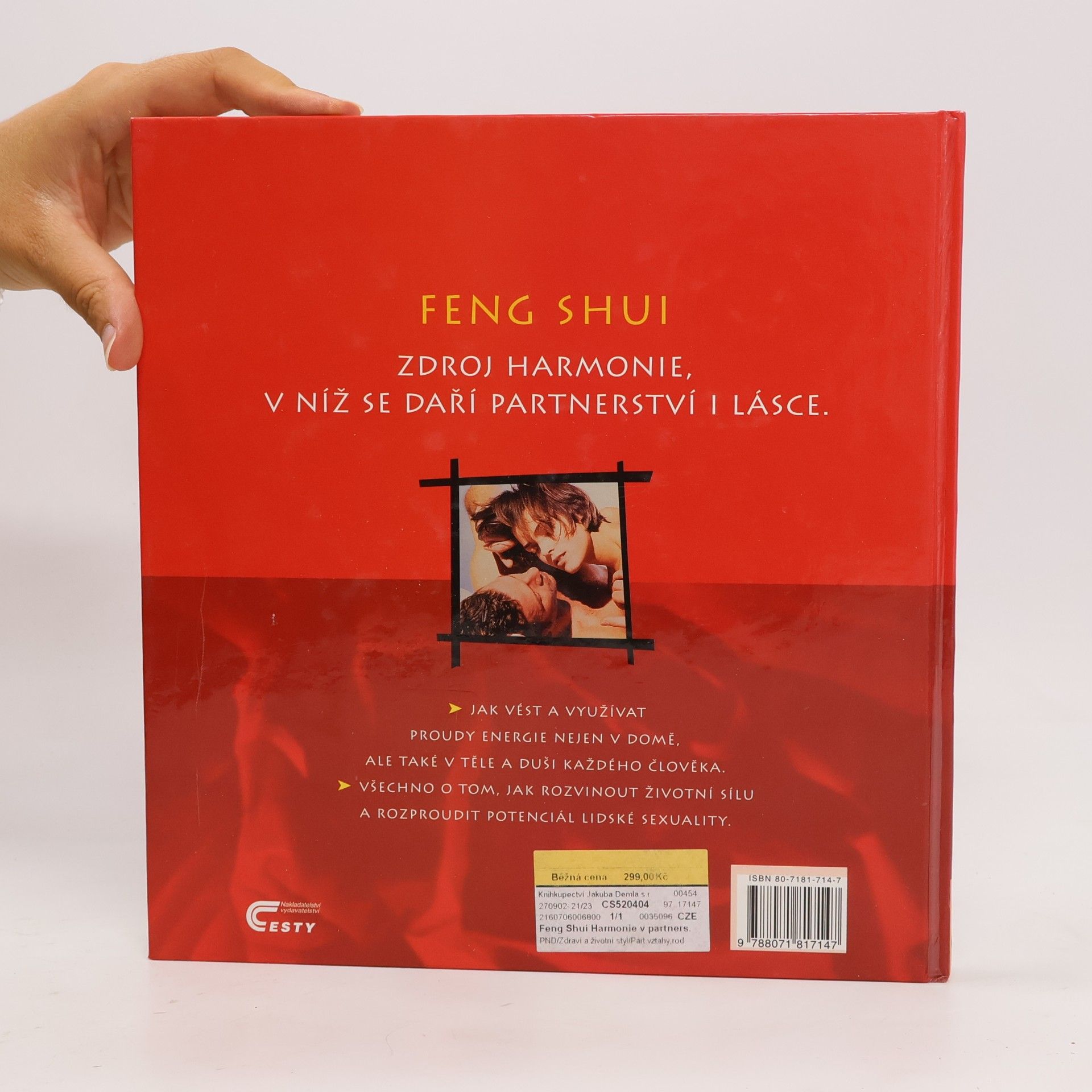 Günther Sator Feng shui. Harmonie v partnerství a lásce
