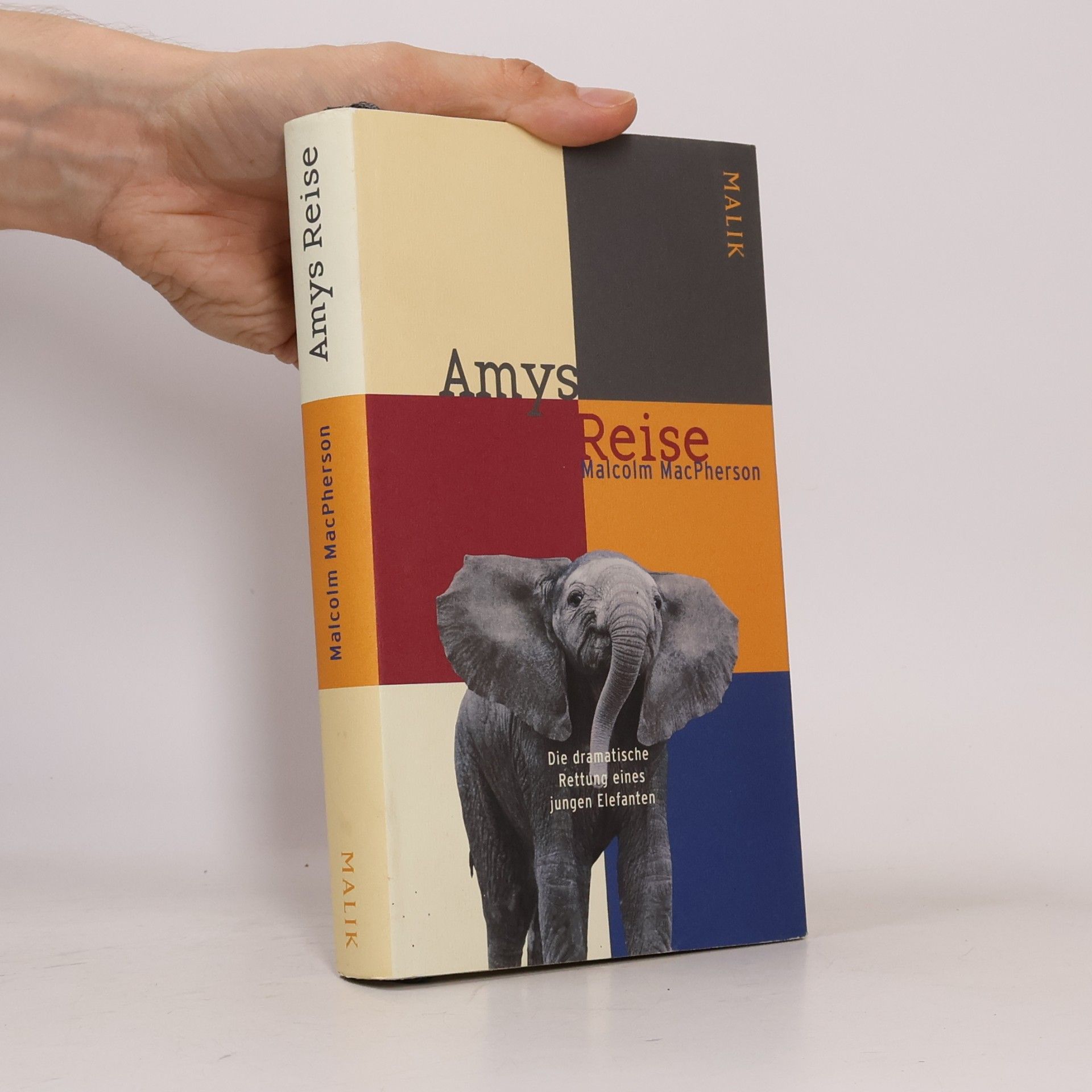 Malcolm MacPherson Amys Reise