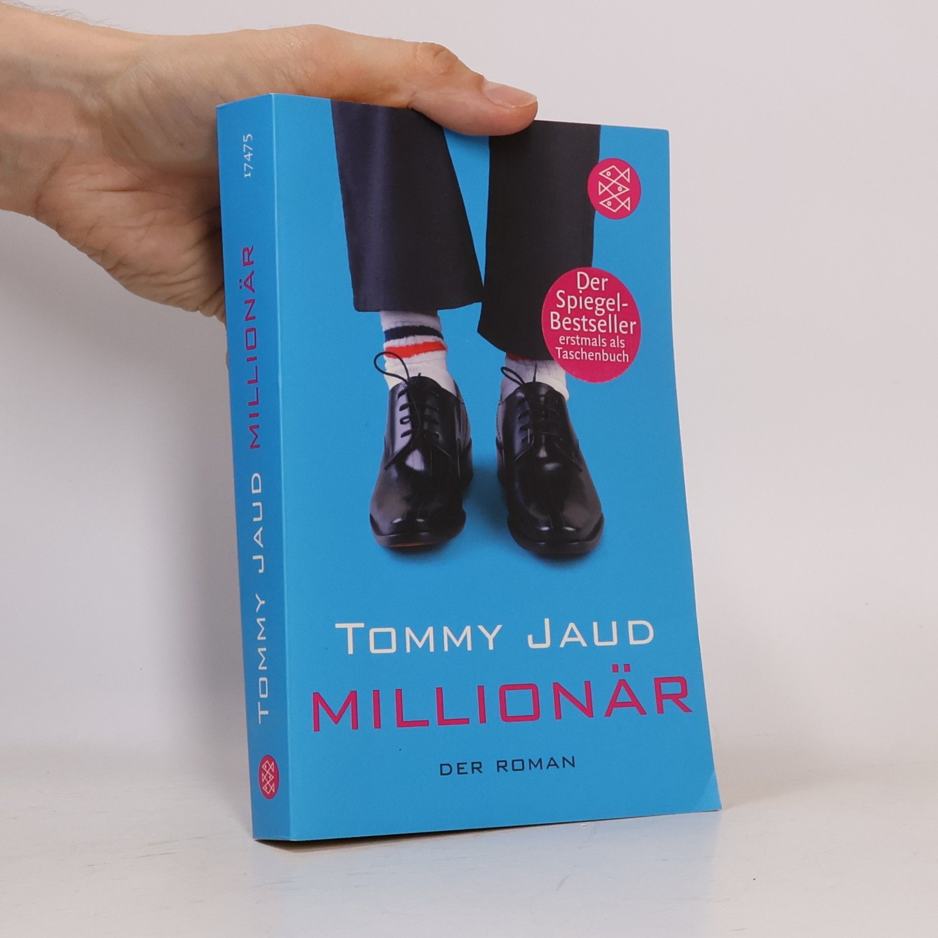 Tommy Jaud Millionär