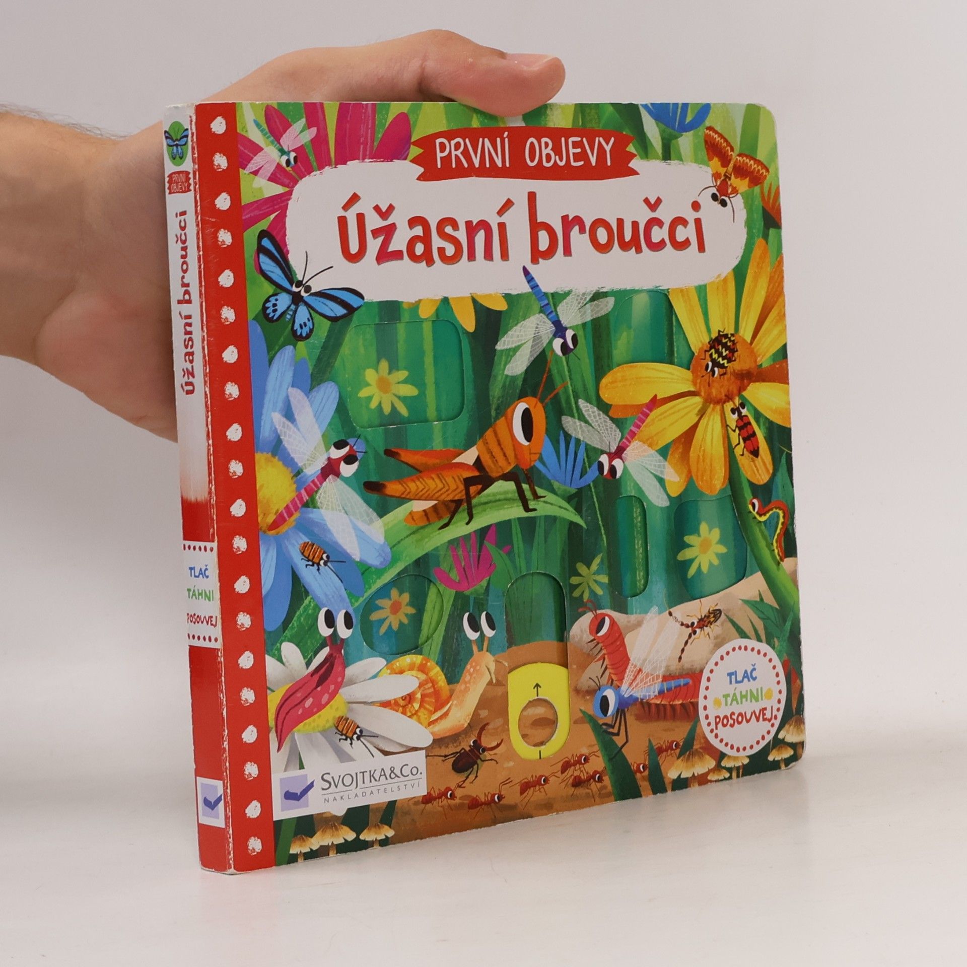 Jenny Wren První objevy: Úžasní broučci