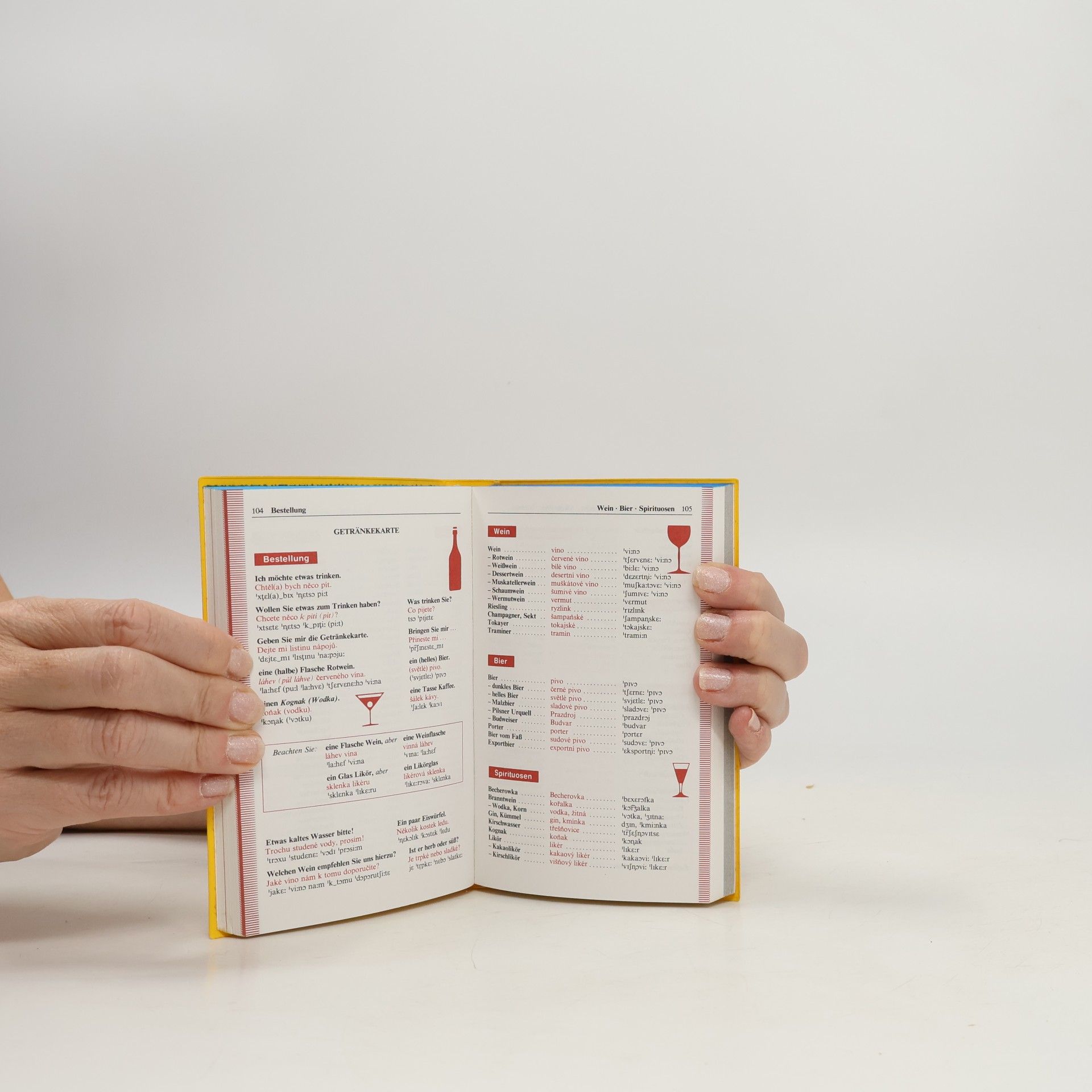 Kolektív autorov Langenscheidts Sprachführer Tschechisch mit Reisewörterbuch Deutsch-Tschechisch