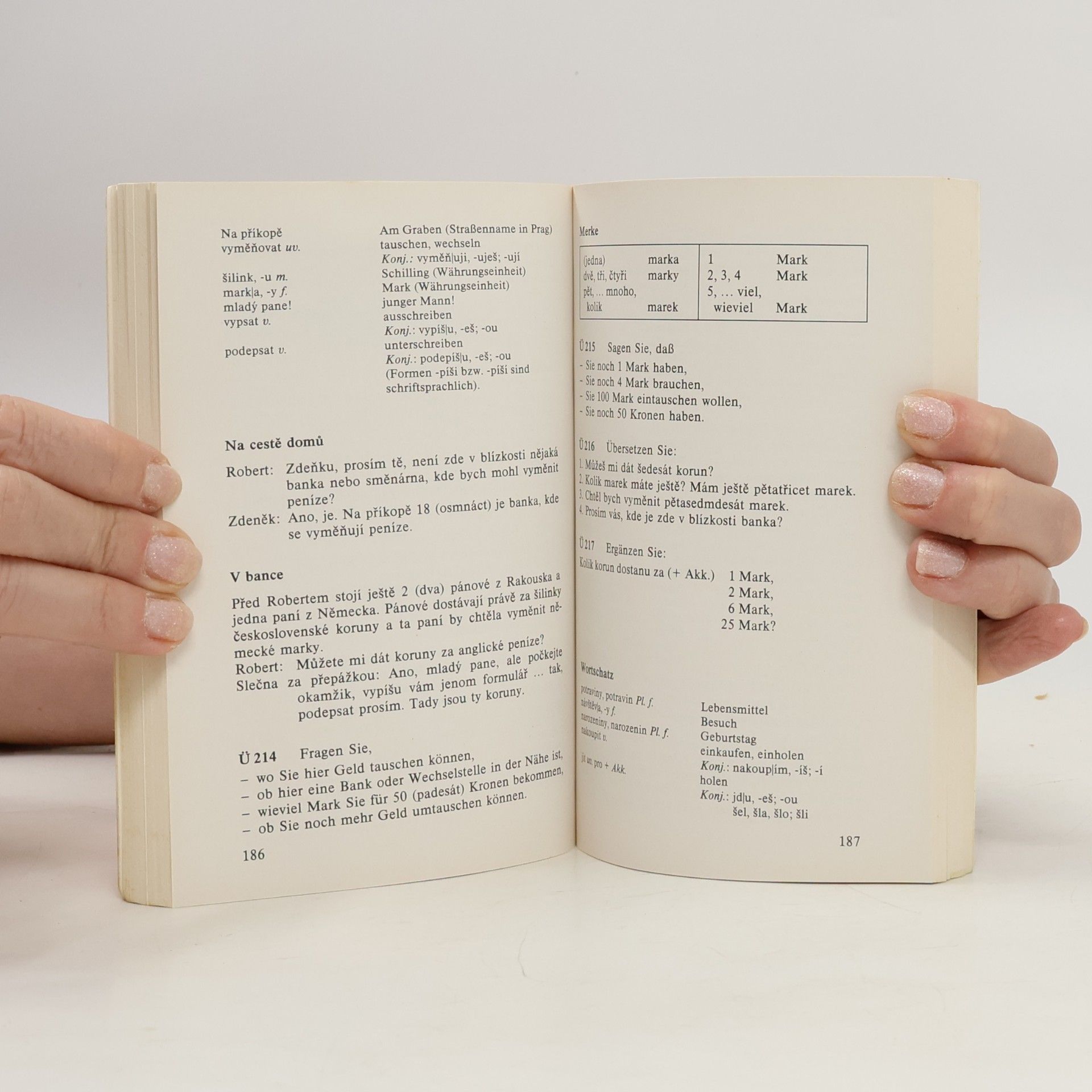 Hartmut Liste Taschenlehrbuch Tschechisch