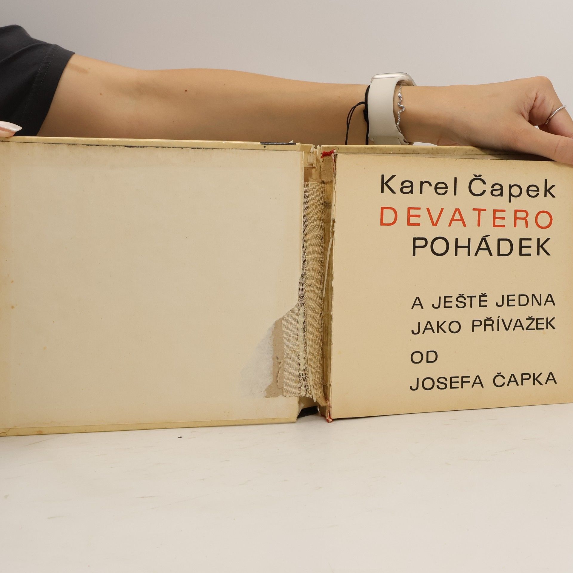 Karel Čapek Devatero pohádek