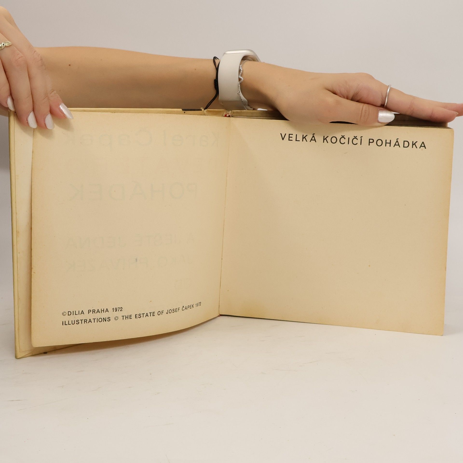 Karel Čapek Devatero pohádek