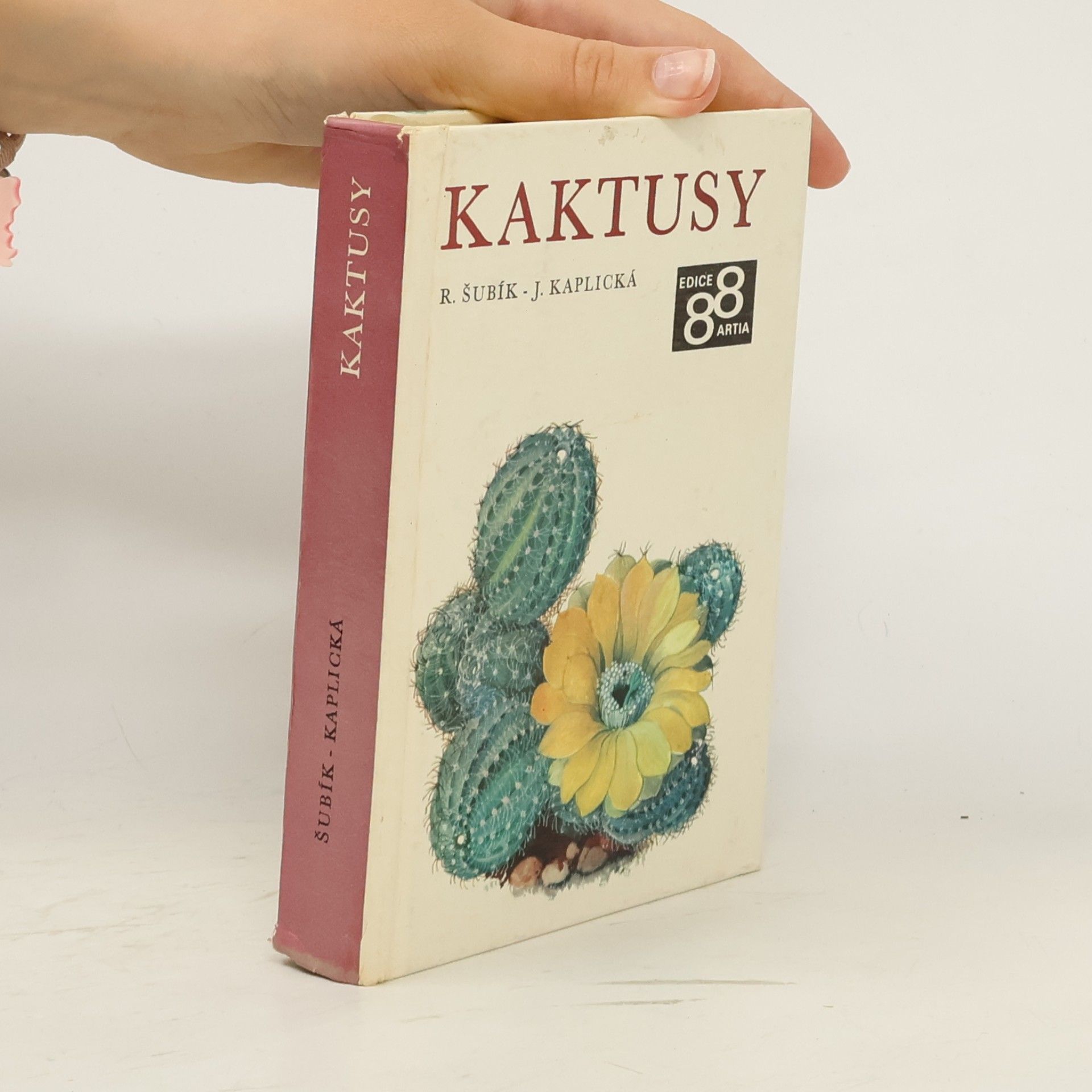 Kaktusy