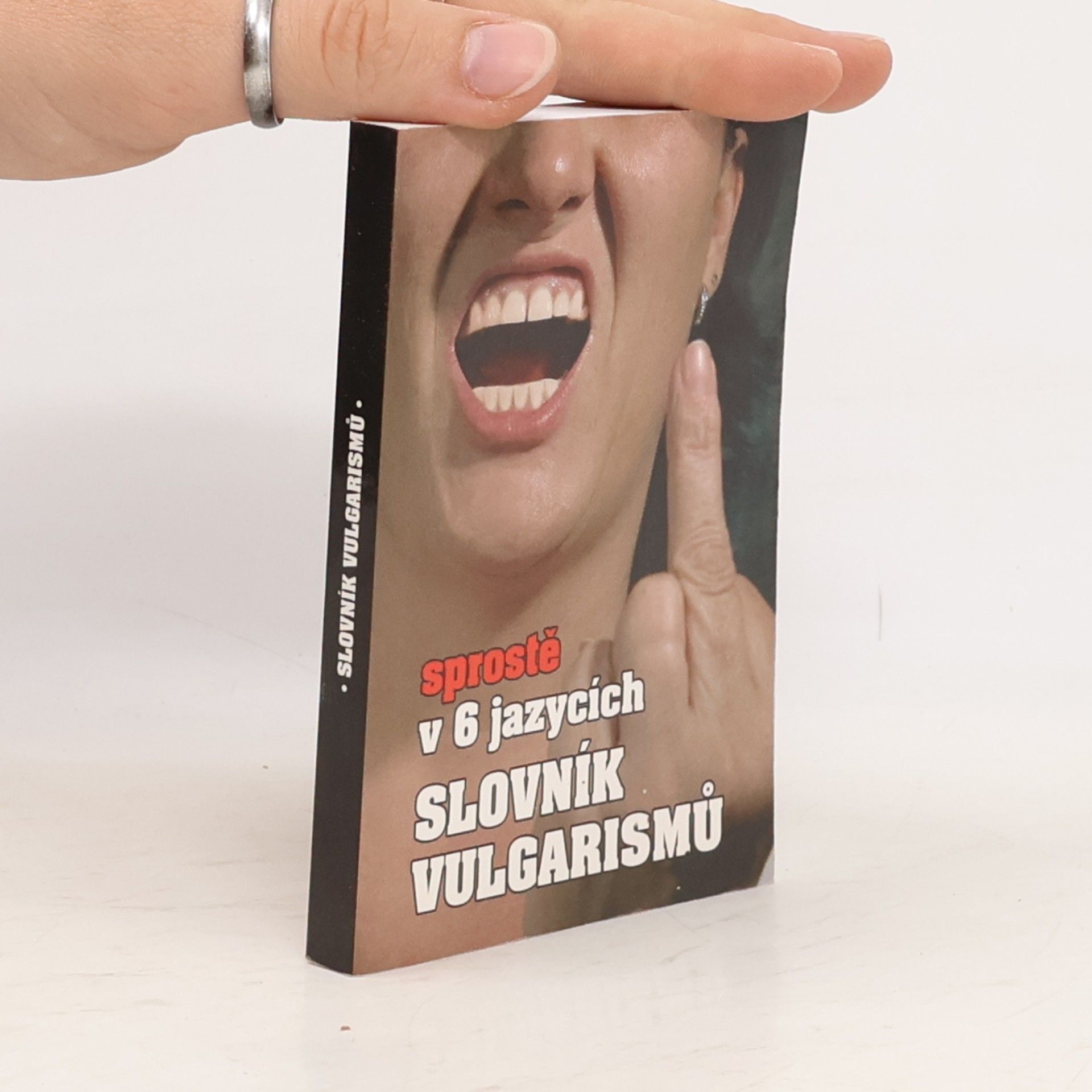 Kryštof Bajger Slovník vulgarismů : sprostě v 6 jazycích