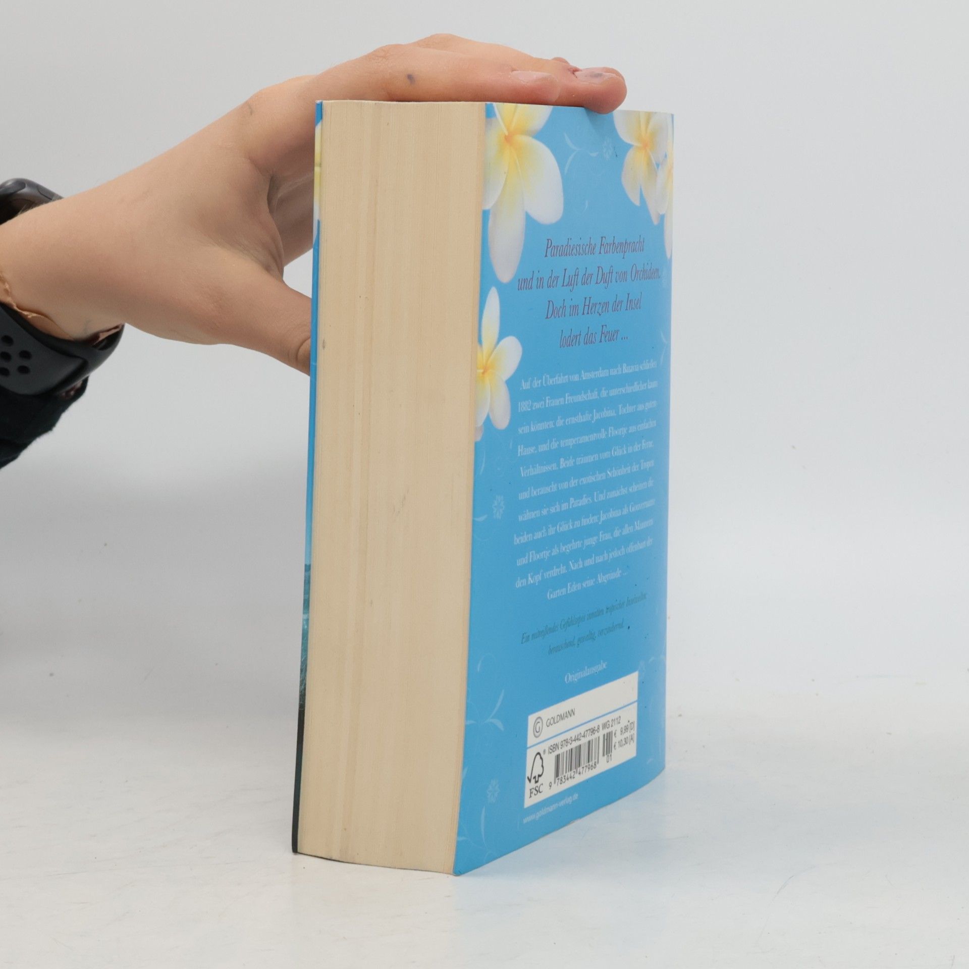 Nicole C. Vosseler Das Herz der Feuerinsel