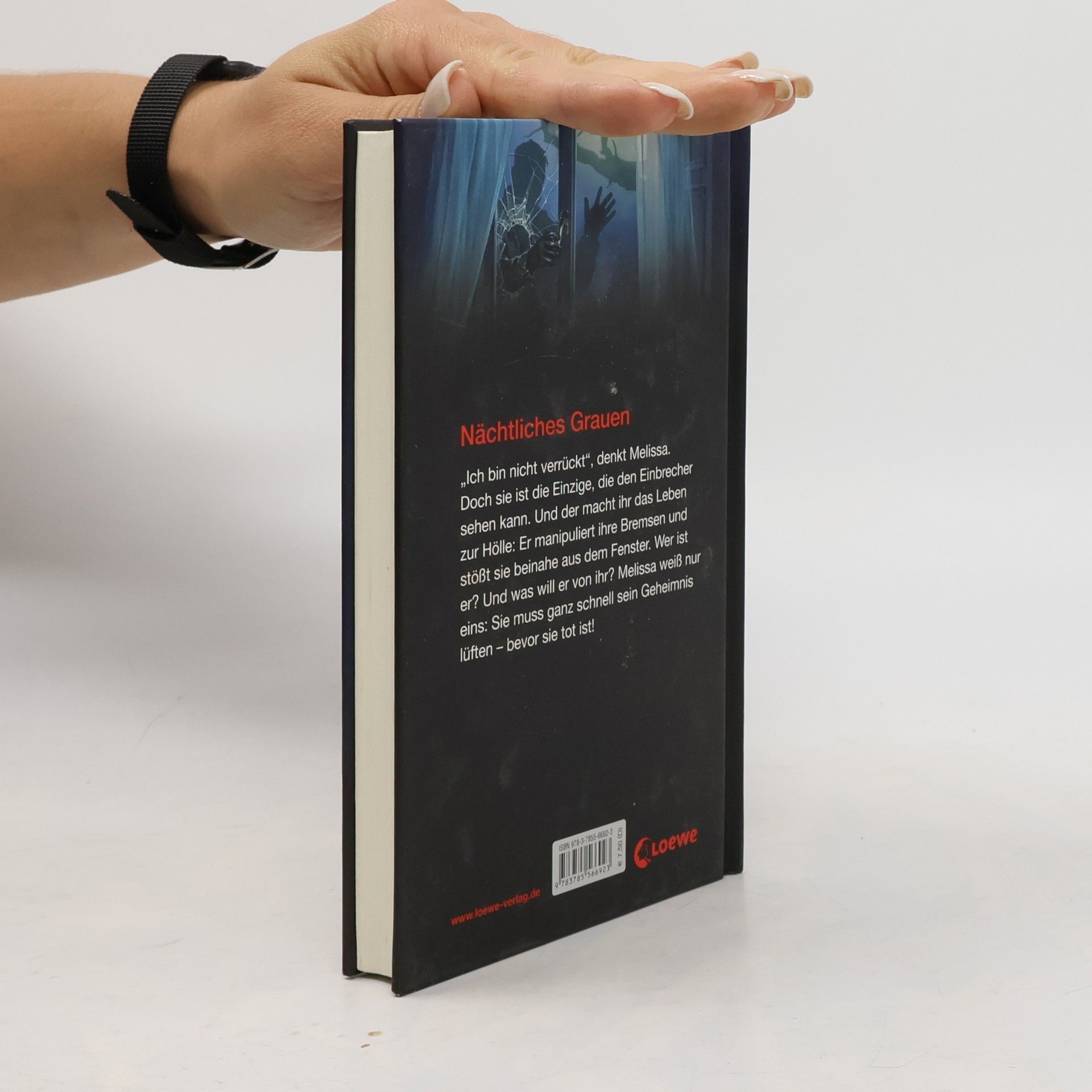 R. L. Stine Eiskalter Hass