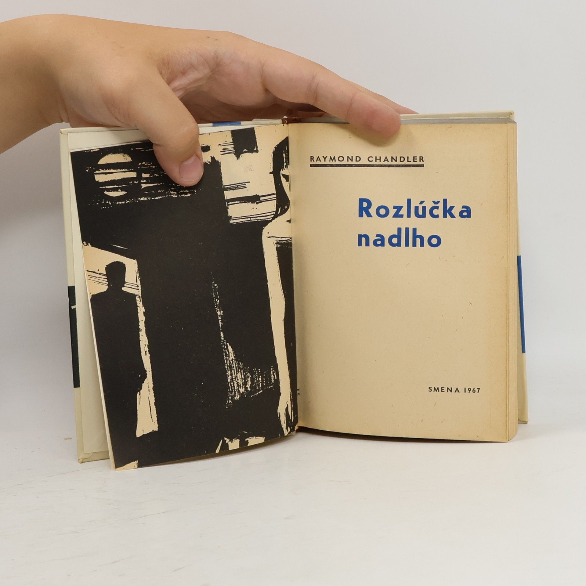 Raymond Chandler Rozlúčka nadlho