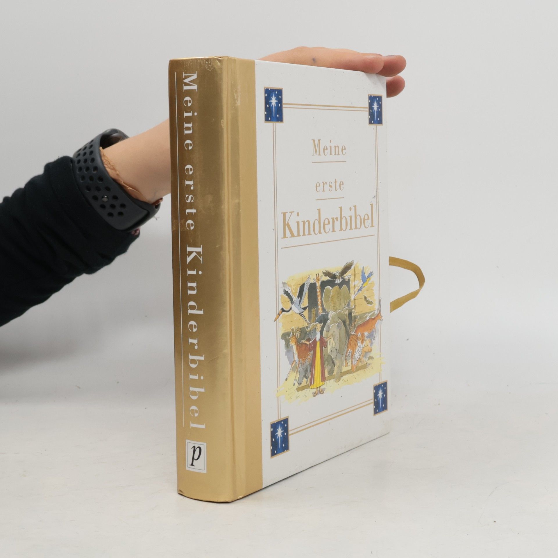 John Dillow Meine erste Kinderbibel