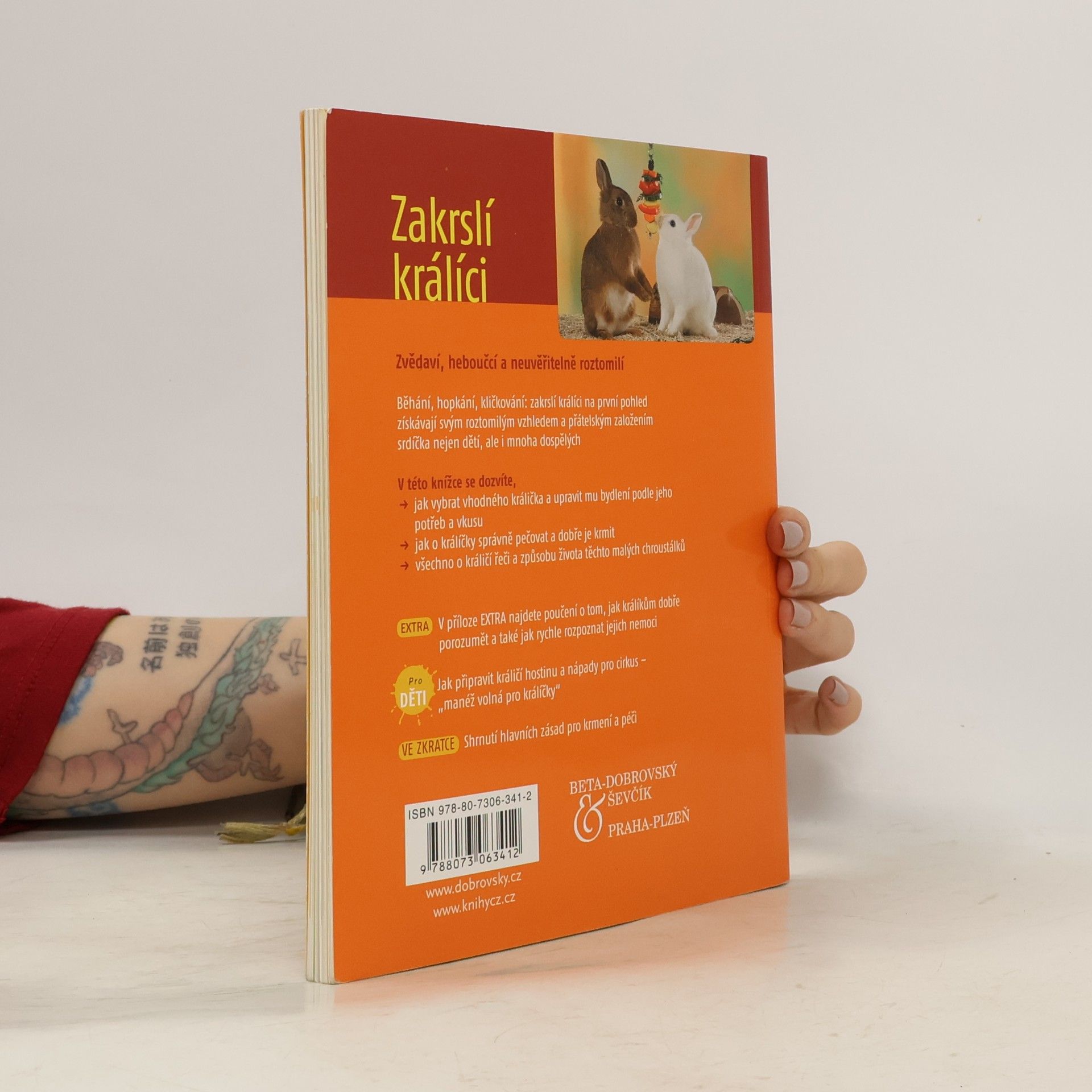 Angela Beck Zakrslí králíci: Chov & péče, porozumění & zabavení
