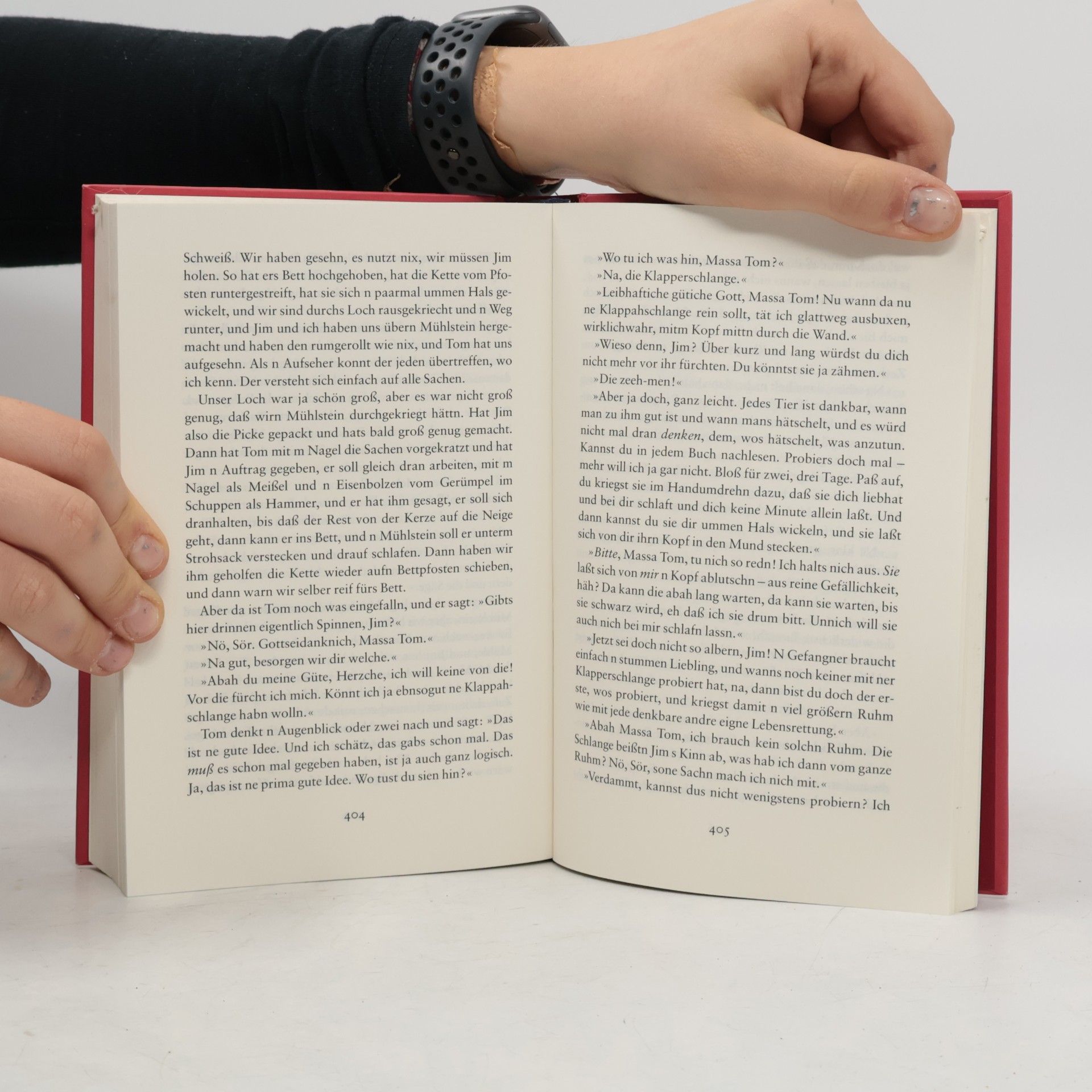 Mark Twain Die Abenteuer des Huckleberry Finn
