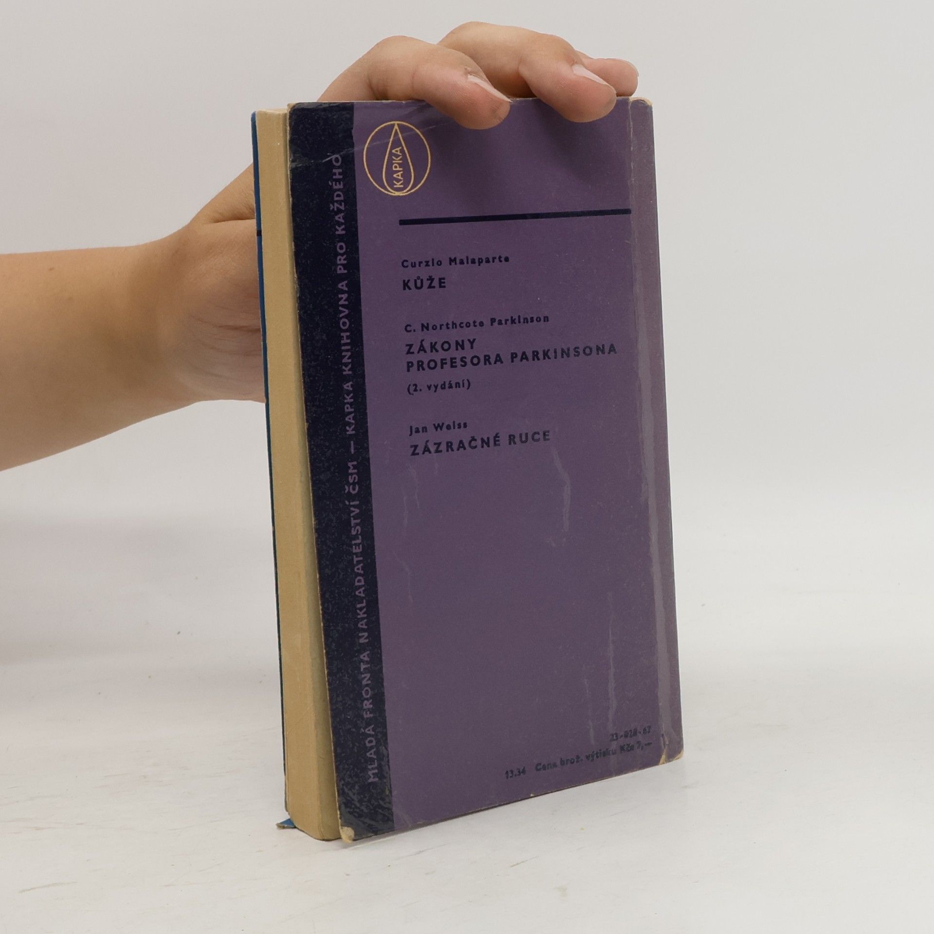 Raymond Chandler Dáma v jezeře