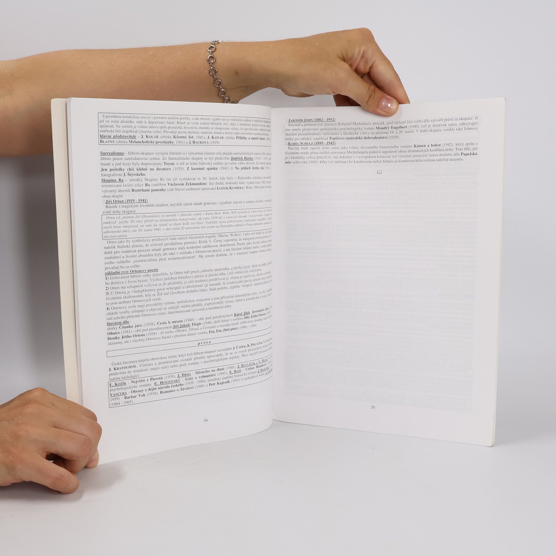 Vladimír Prokop Přehled české literatury 20. století