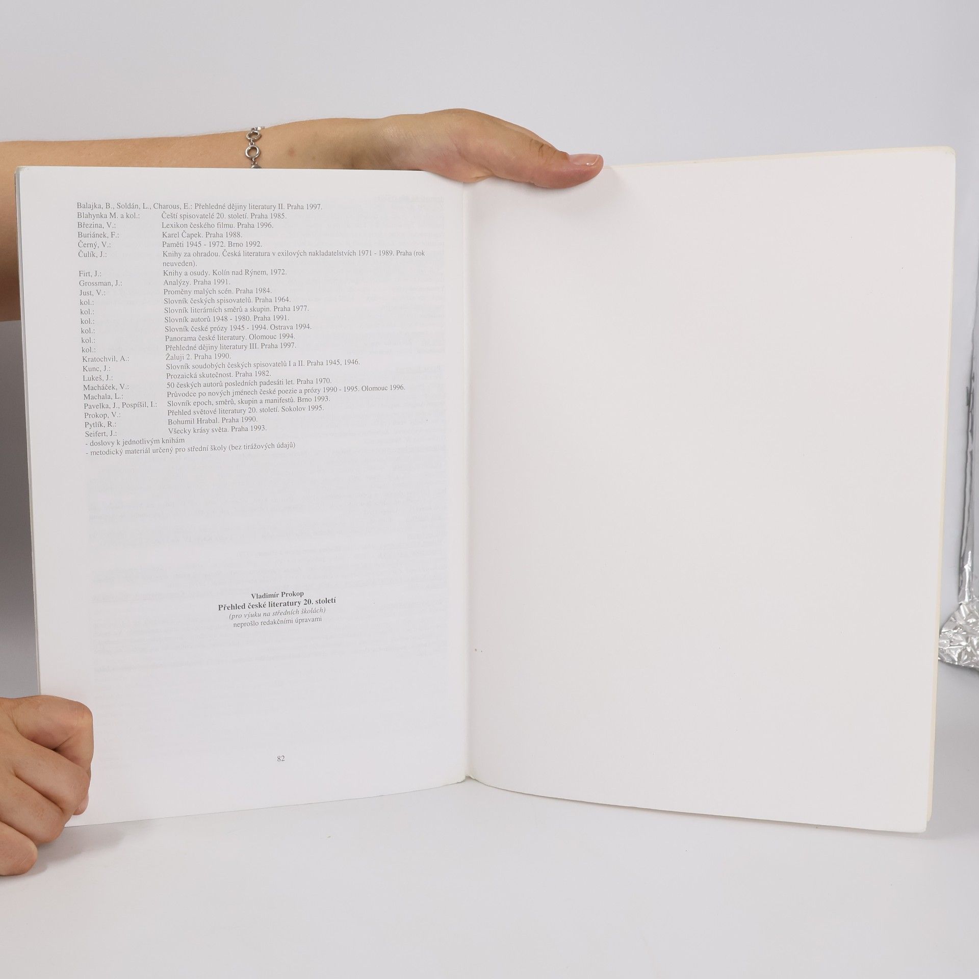Vladimír Prokop Přehled české literatury 20. století