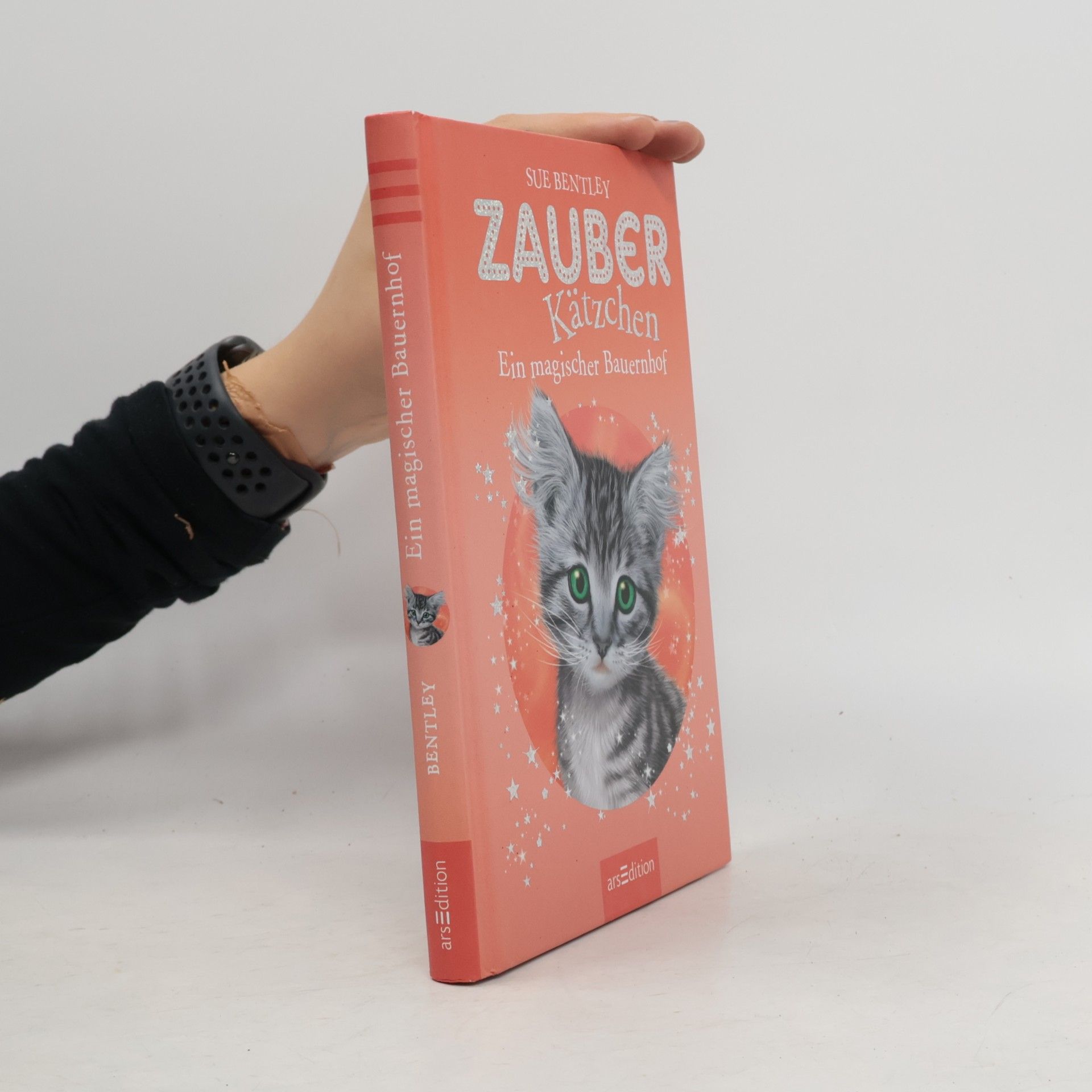 Sue Bentley Zauberkätzchen - ein magischer Bauernhof