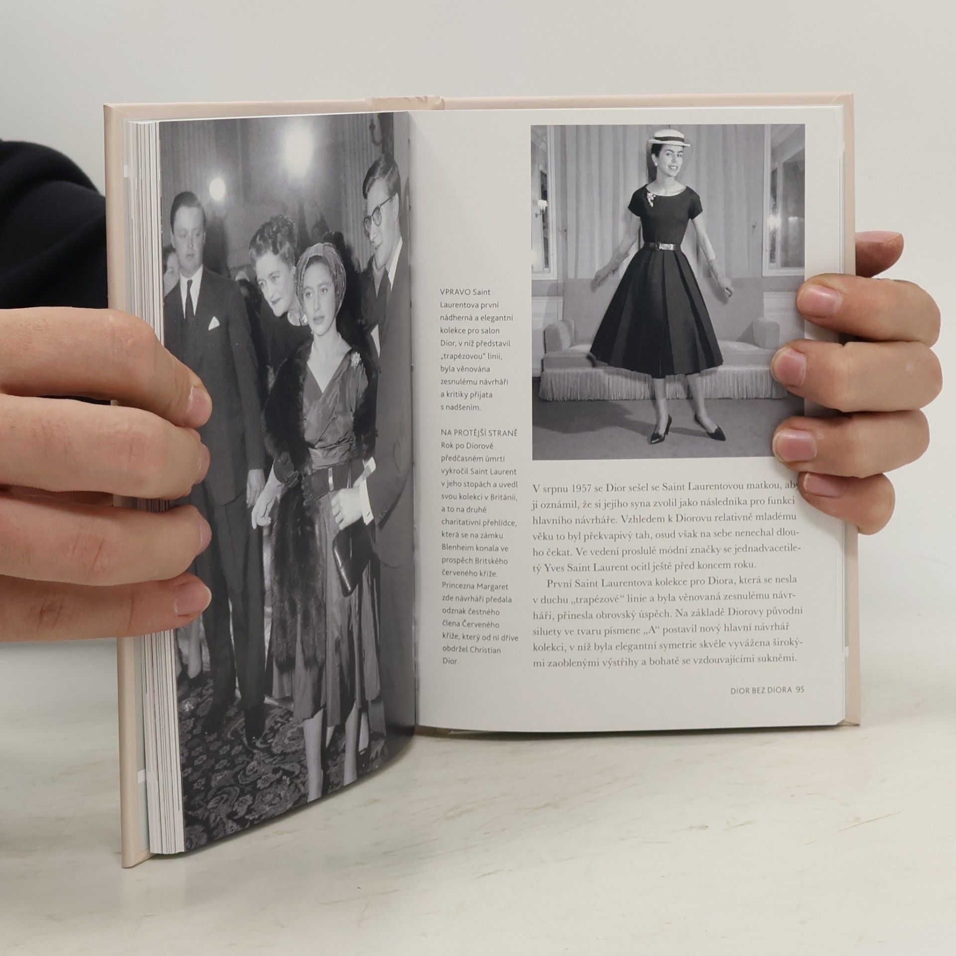 Karen Homer Dior do kabelky
