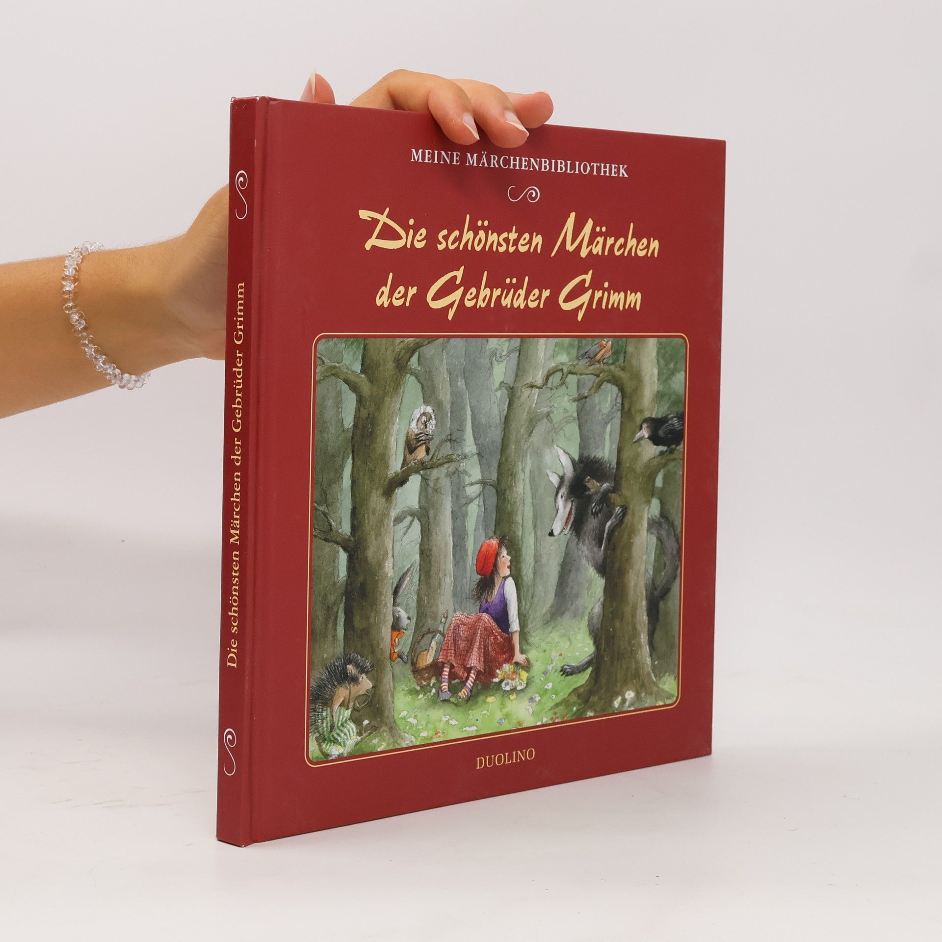 bratři Grimmové Die schönsten Märchen der Gebrüder Grimm