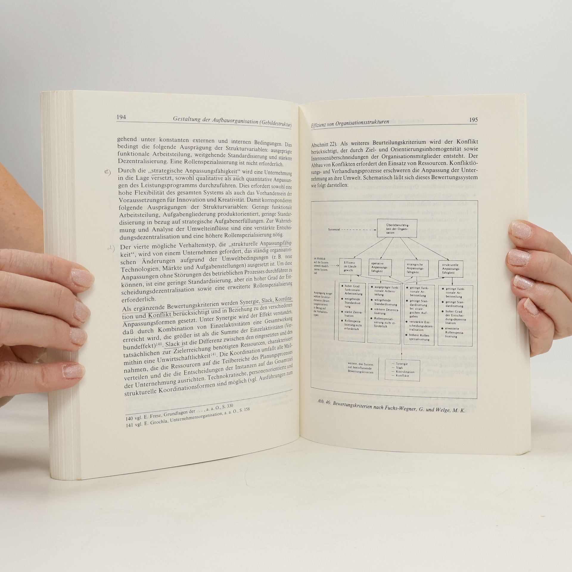 Helmut Wittlage NWB-Studienbücher - Wirtschaftswissenschaften - 4: Unternehmensorganisation