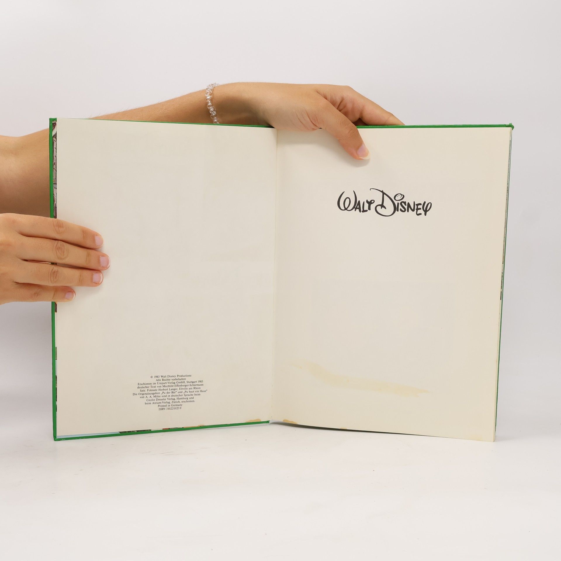 Walt Disney Winnie Puuh