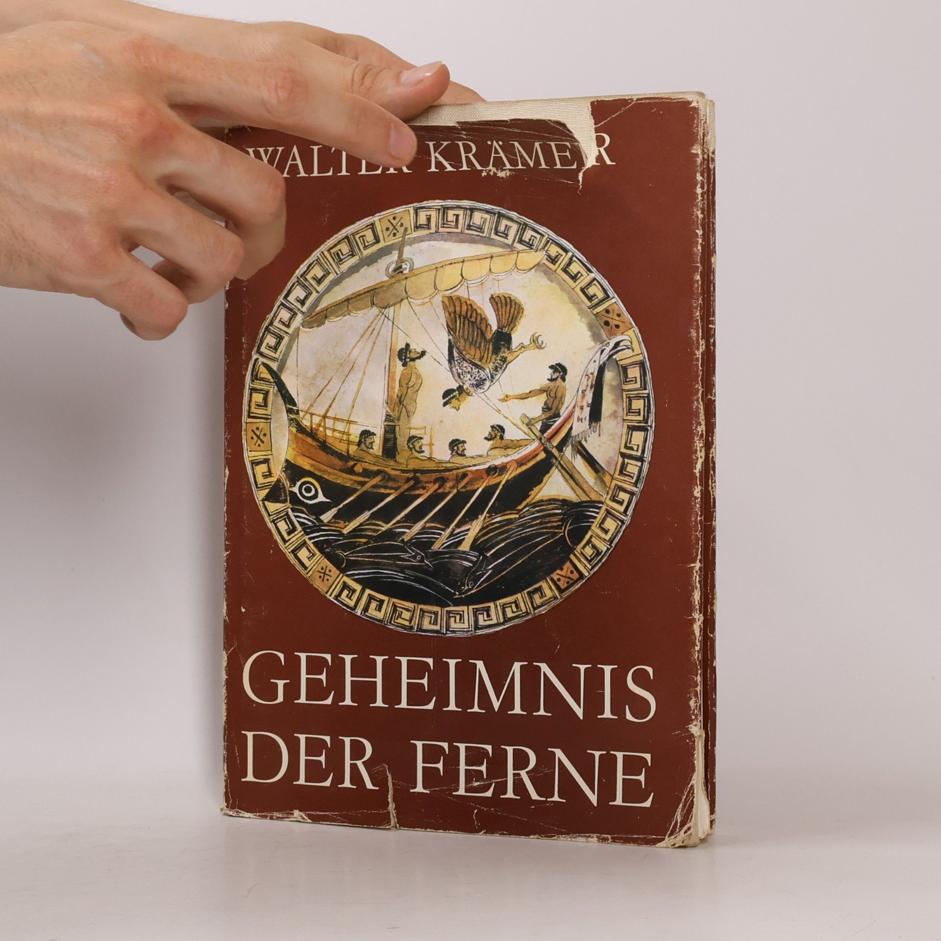 Walter Krämer Geheimnis der Ferne