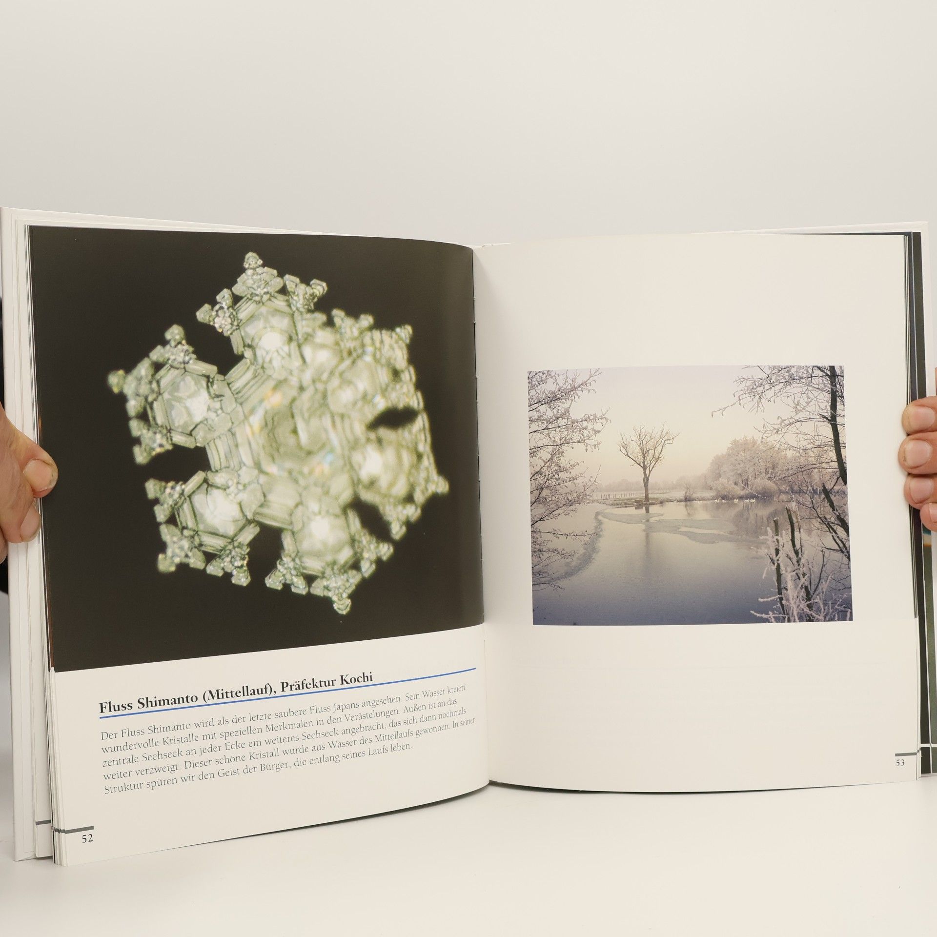 Masaru Emoto Die Botschaft des Wassers