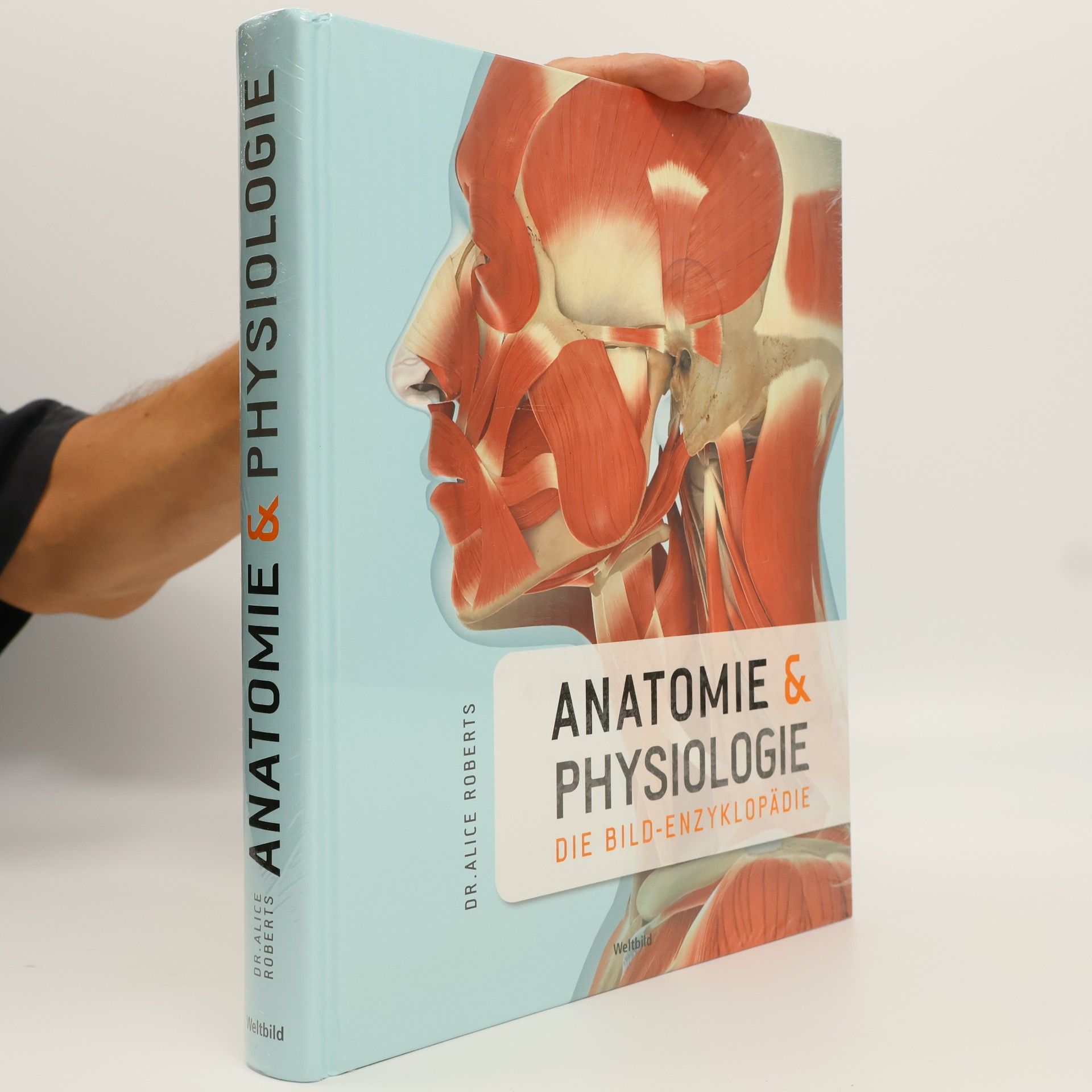 Anatomie und Physiologie