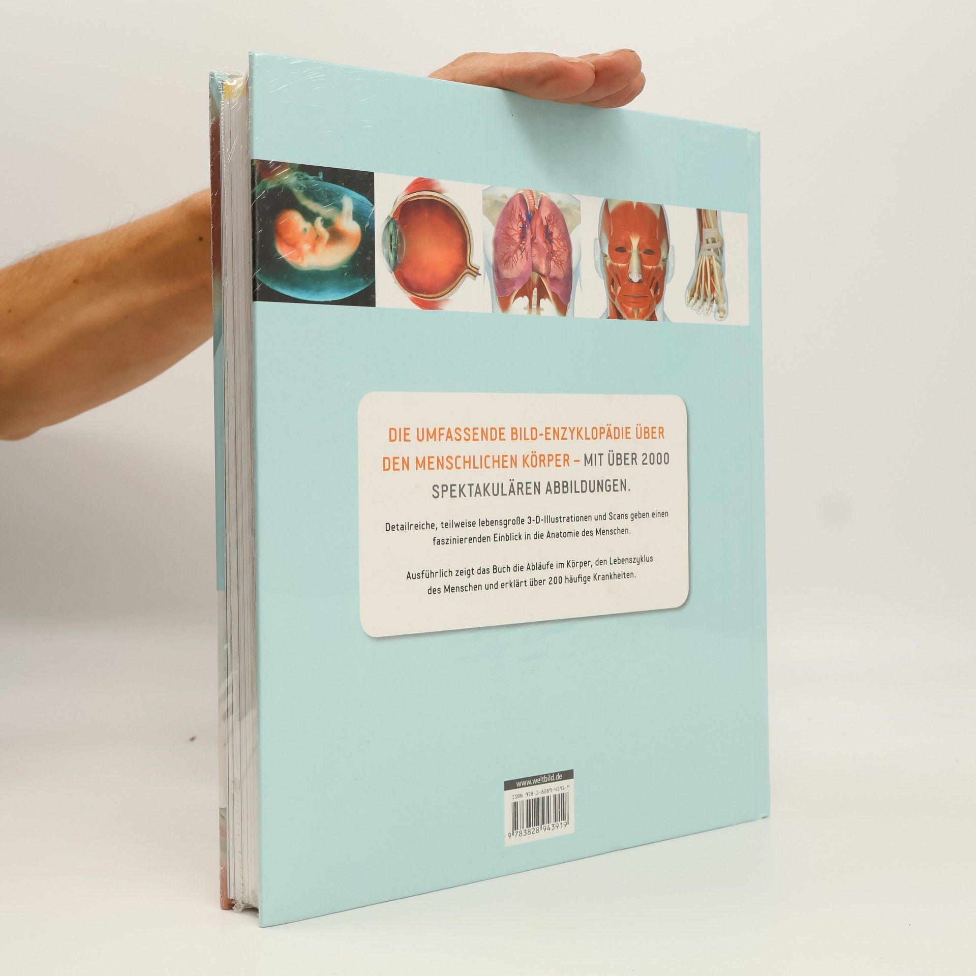 Alice Roberts Anatomie und Physiologie