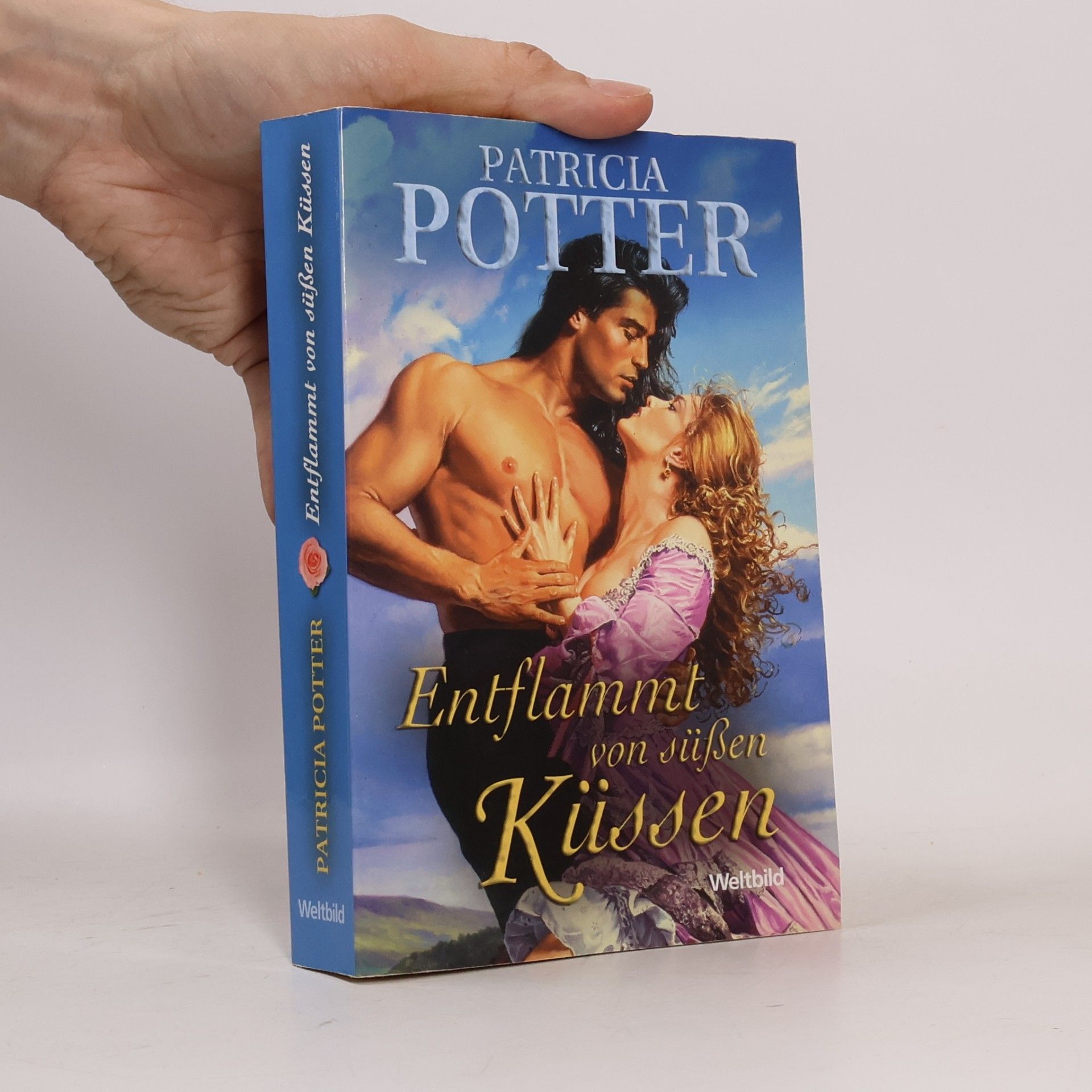 Patricia Potter Ein sinnlicher Schurke