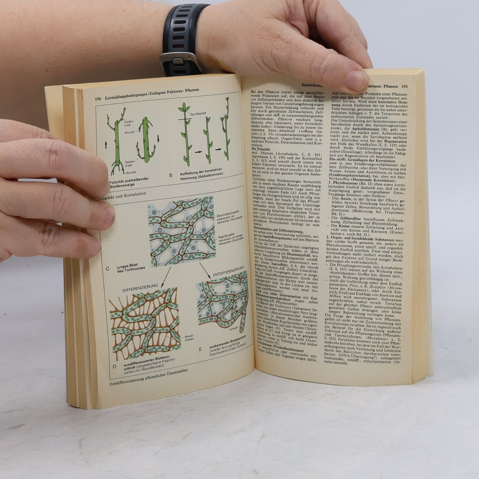 Various authors Atlas zur Biologie 1