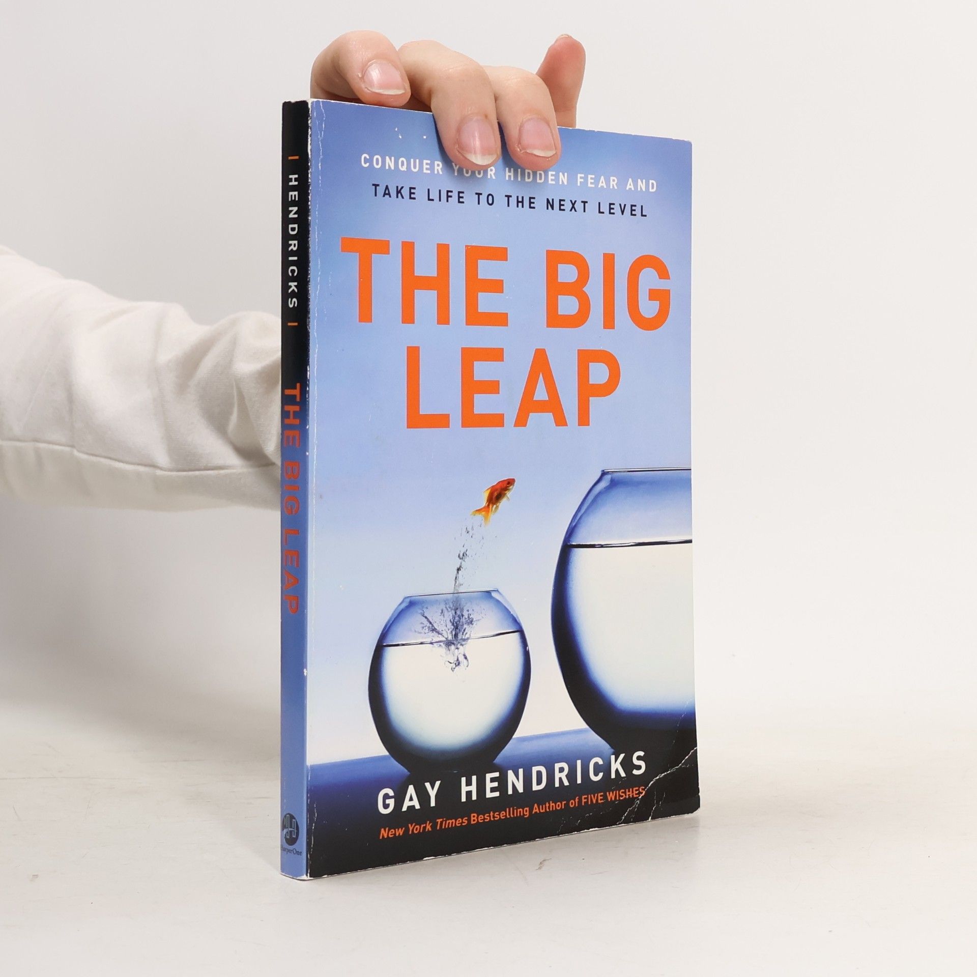 Gay Hendricks The Big Leap