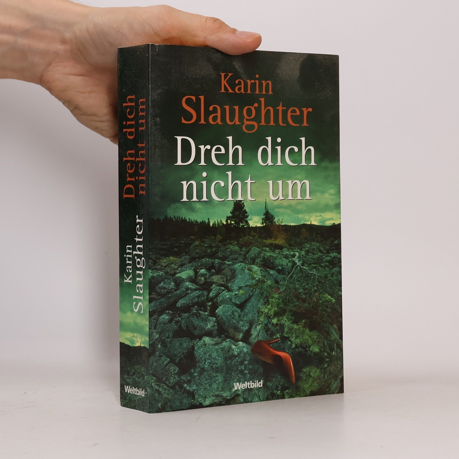 Karin Slaughter Dreh dich nicht um