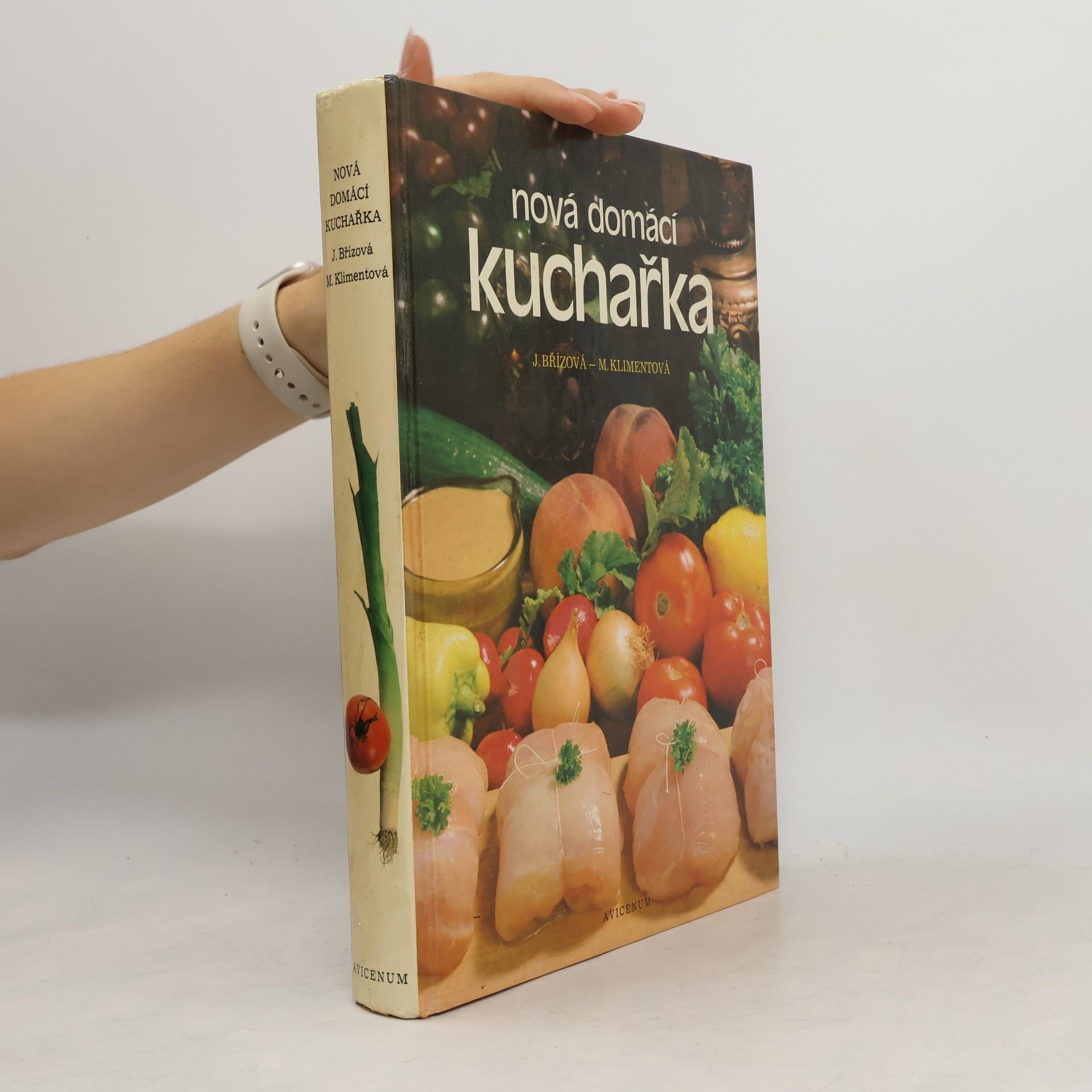 Joza Břízová Nová domácí kuchařka
