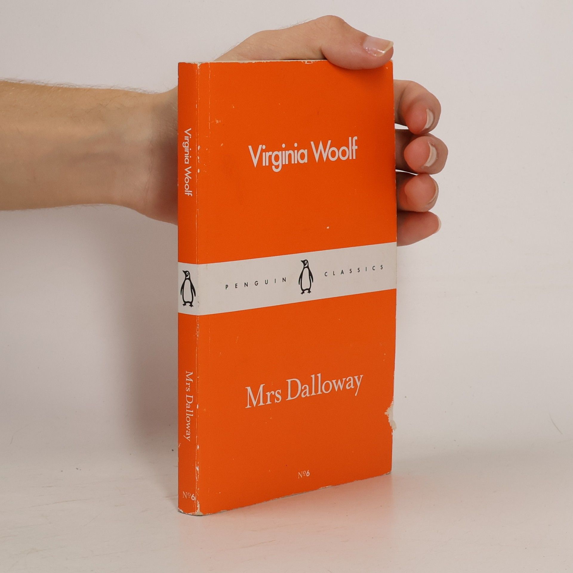 Virginia Woolf Mrs Dalloway