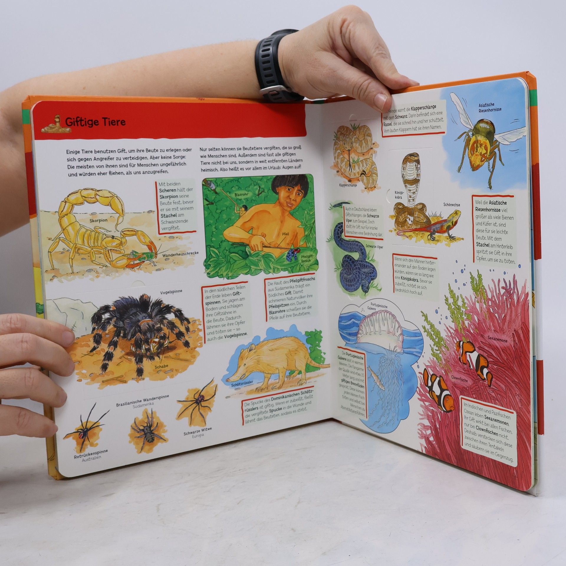 Auteurscollectief Wilde Tiere