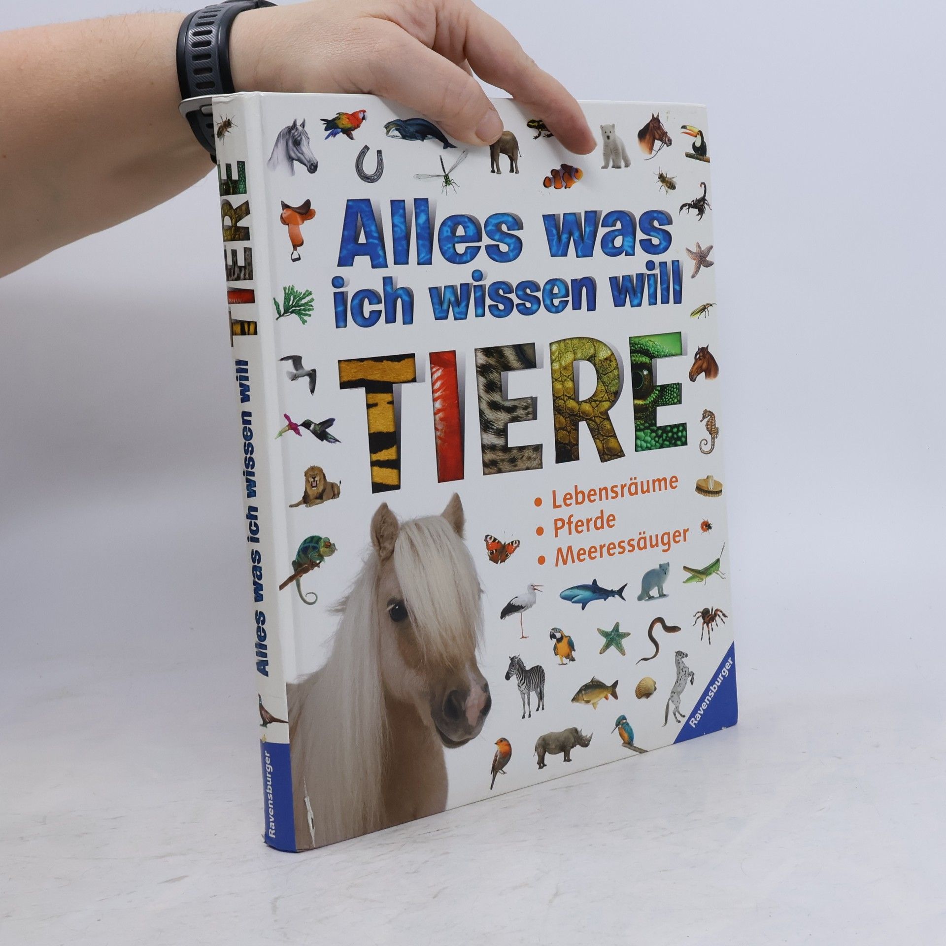 Kolektiv autorů Alles was ich wissen will: Tiere