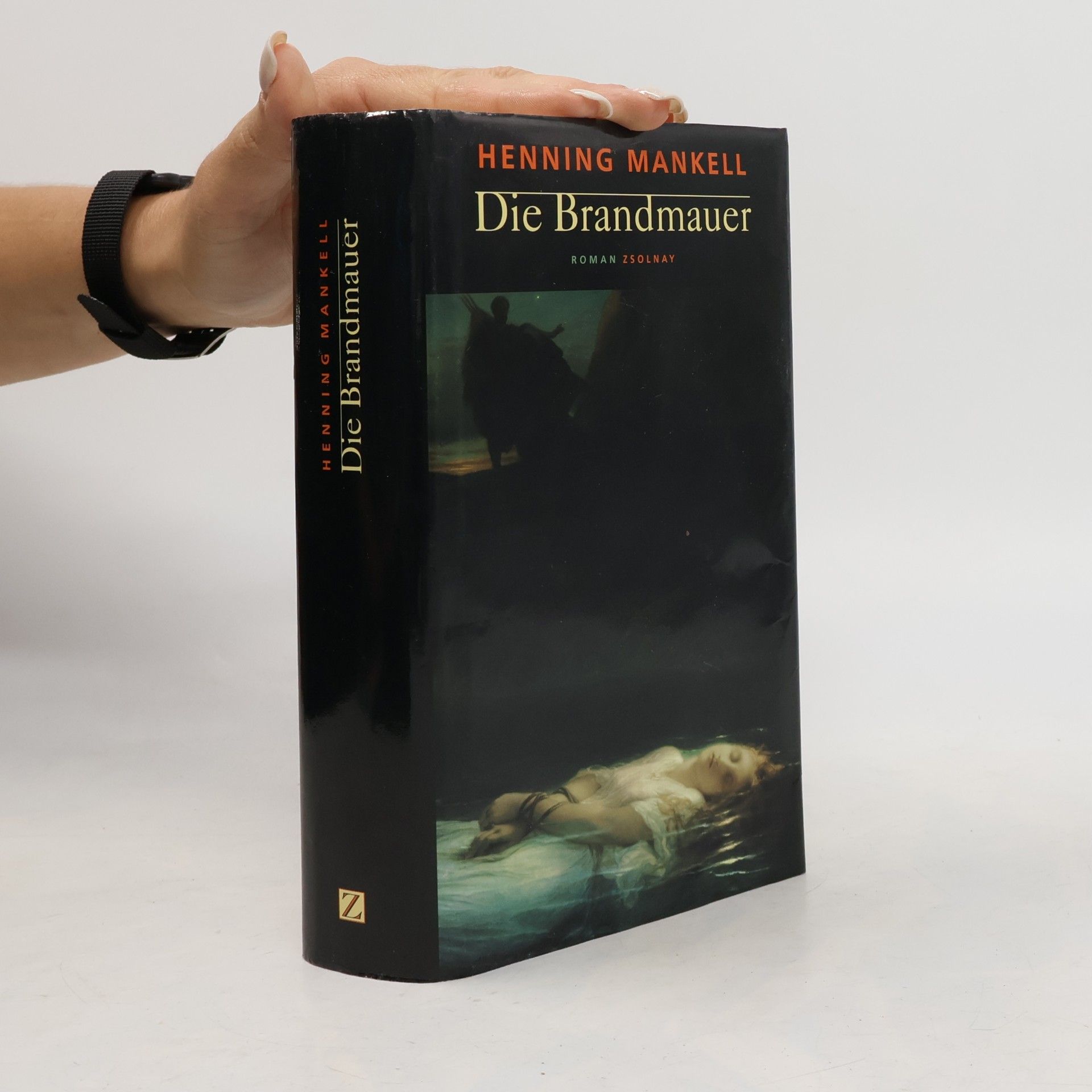 Henning Mankell Die Brandmauer