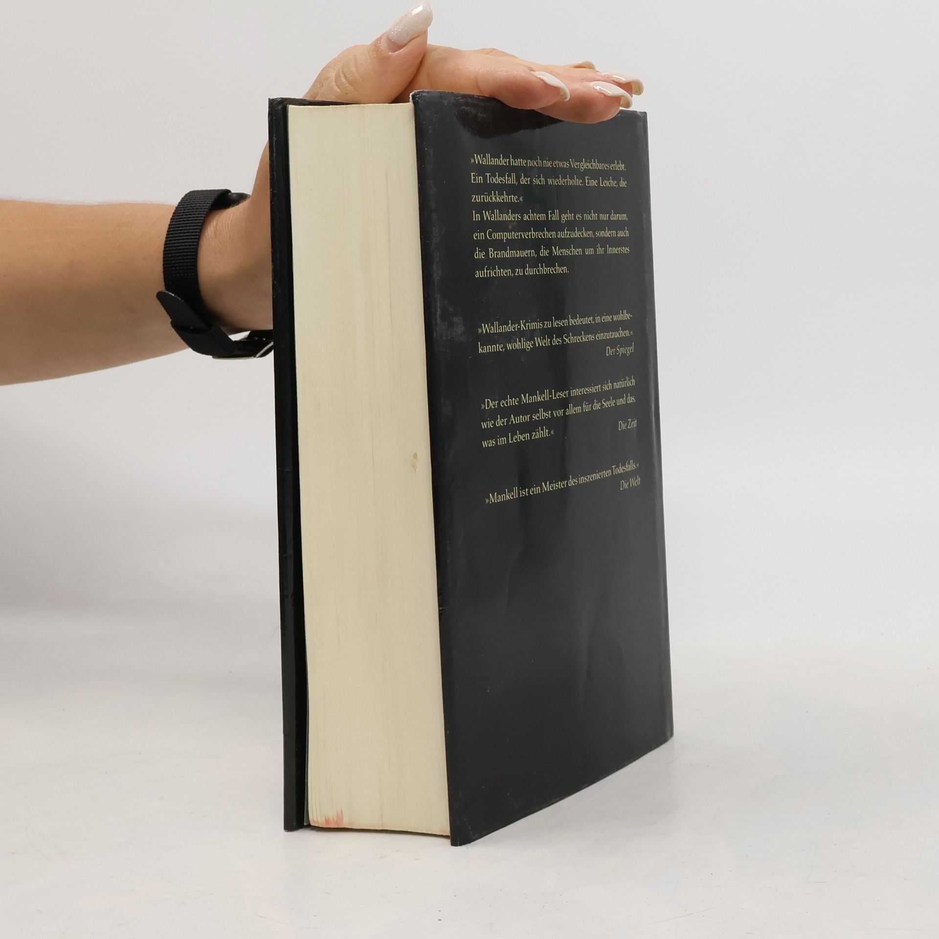 Henning Mankell Die Brandmauer