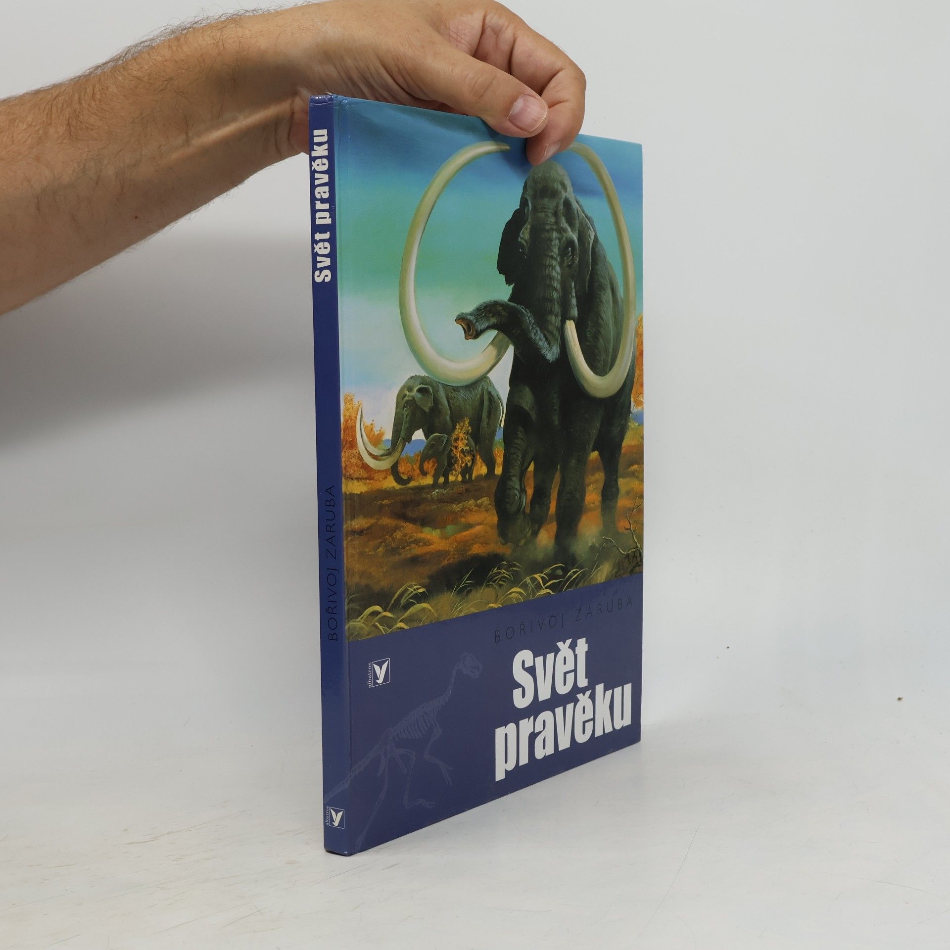 Bořivoj Záruba Svět pravěku