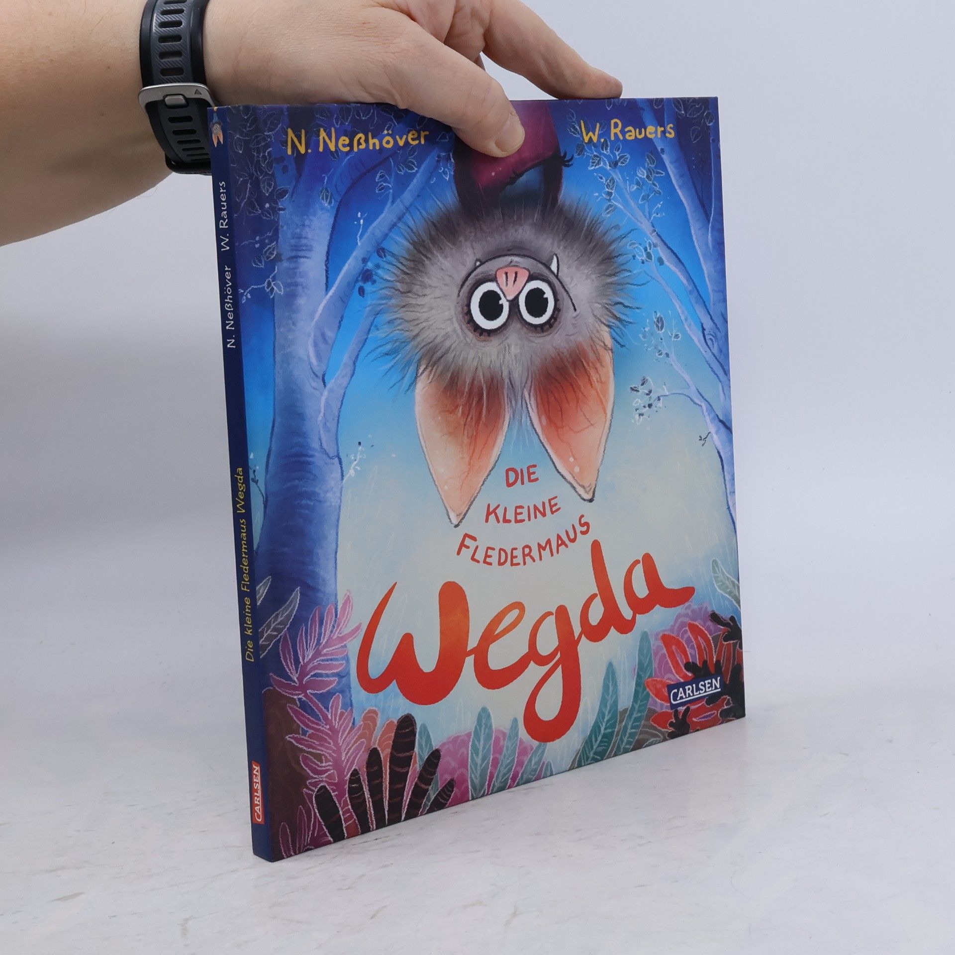 Nanna Neßhöver Die kleine Fledermaus Wegda