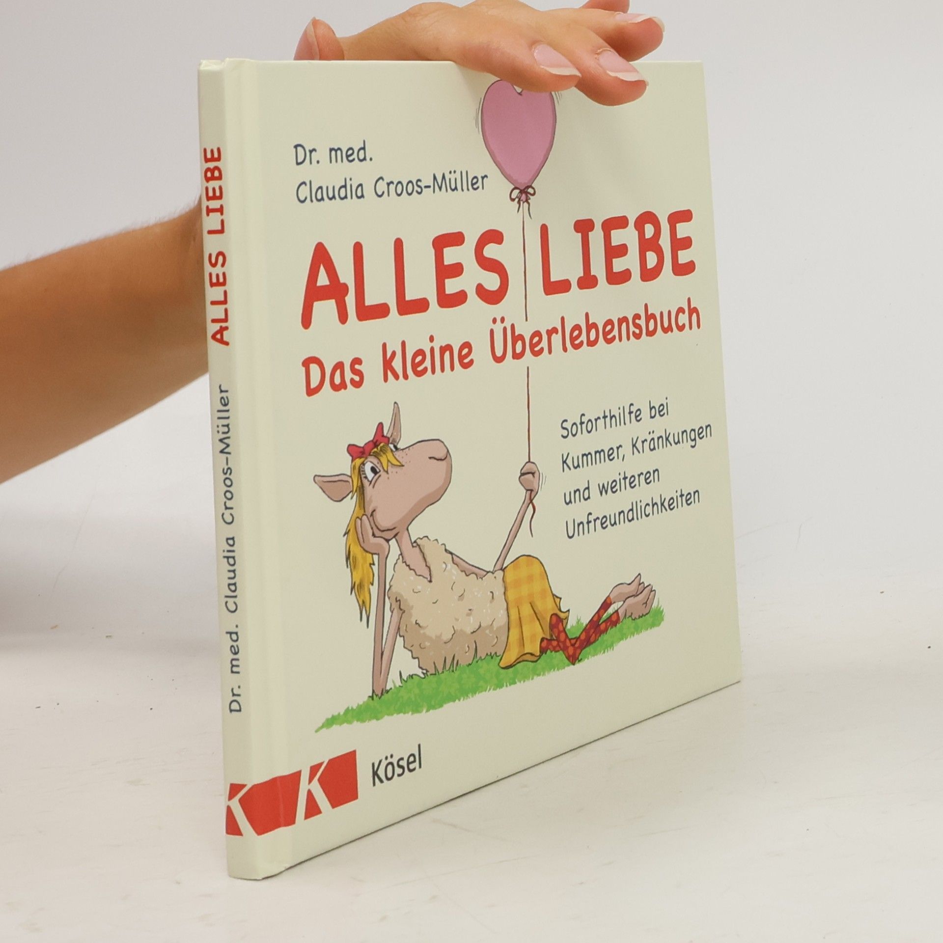 Claudia Croos-Müller Alles Liebe - das kleine Überlebensbuch