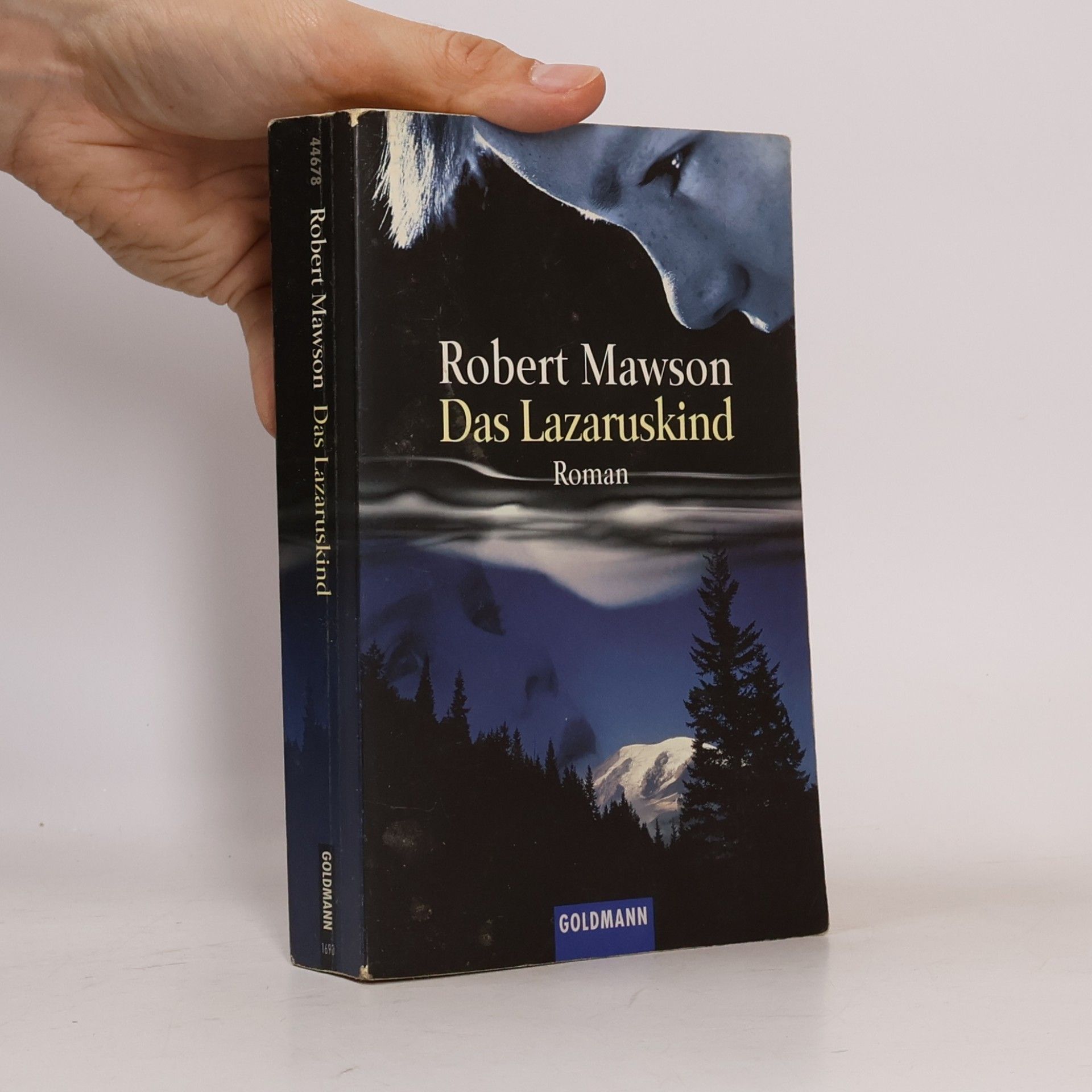 Robert Mawson Das Lazaruskind