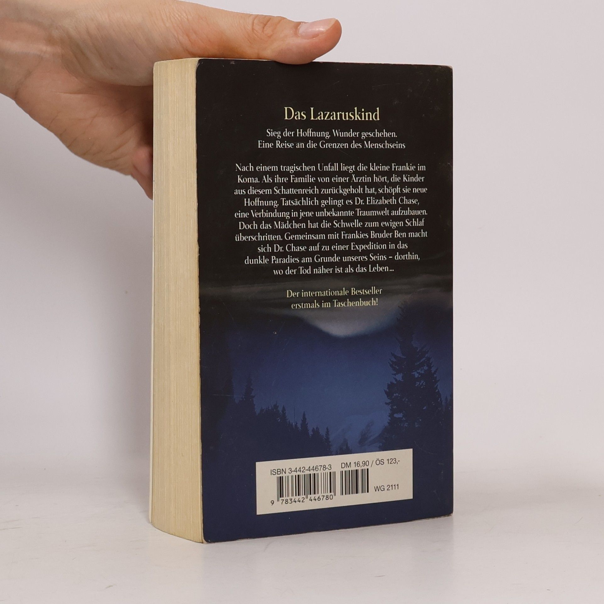 Robert Mawson Das Lazaruskind